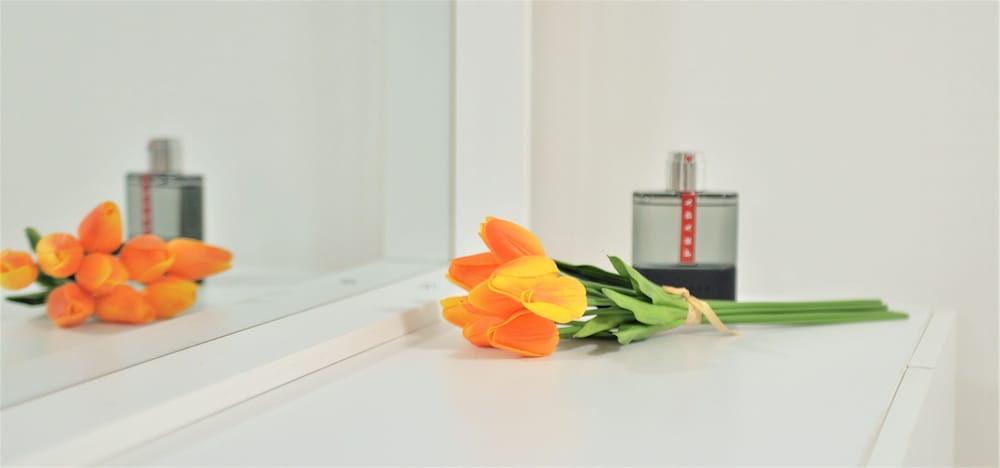 Фото Jerry Blossom - Hostel