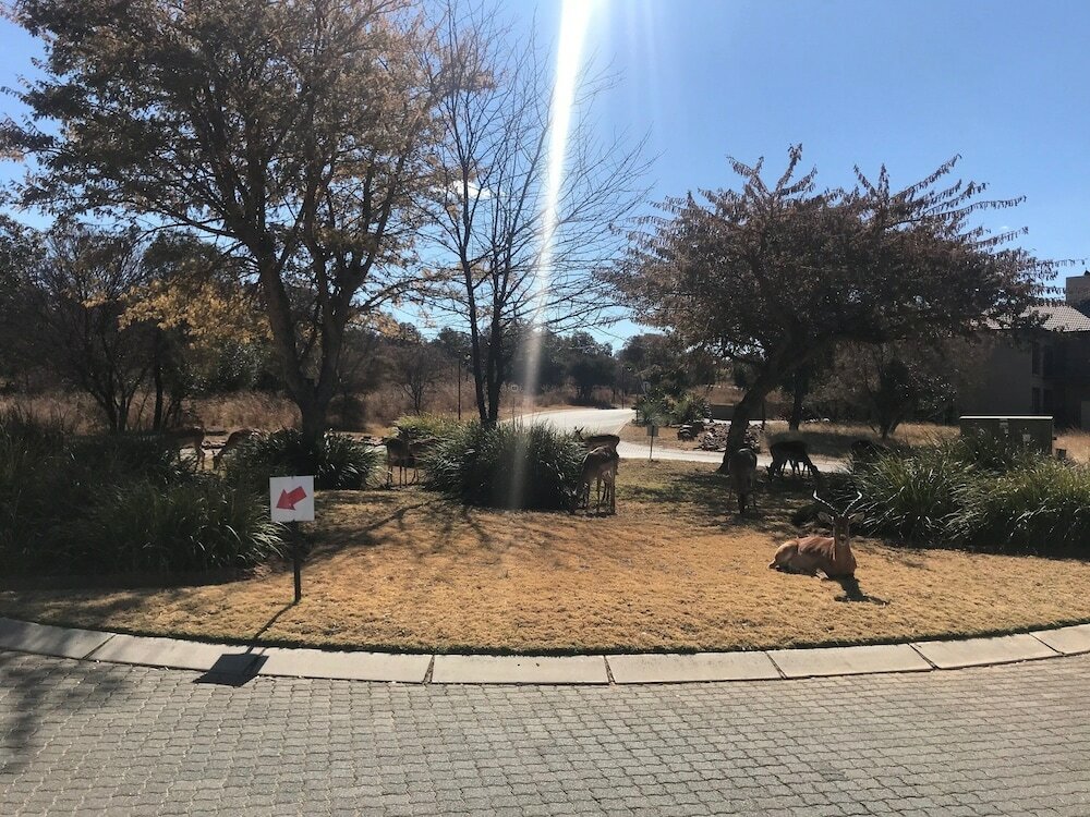 Фото Shakala Village