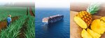 Cma Cgm Central Asia (Al-Farabi Avenue, 75В/7), freight forwarding