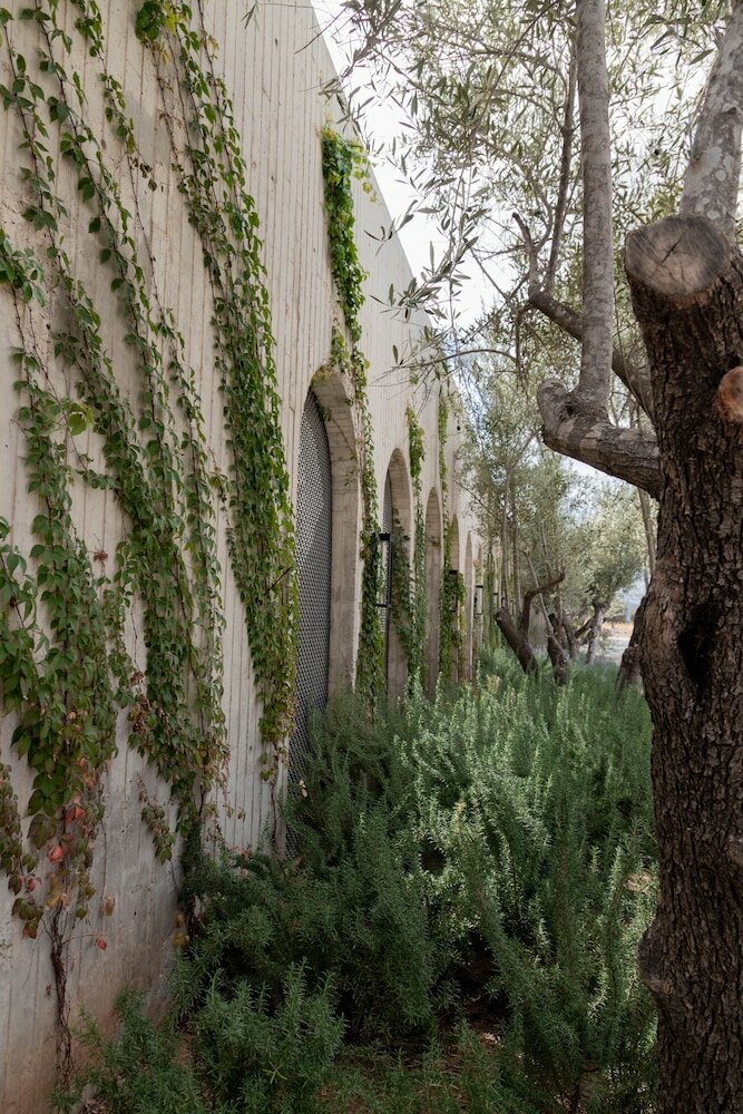 Фото Hotel Andana Resort