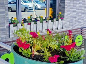 Гостиница New West Hotel