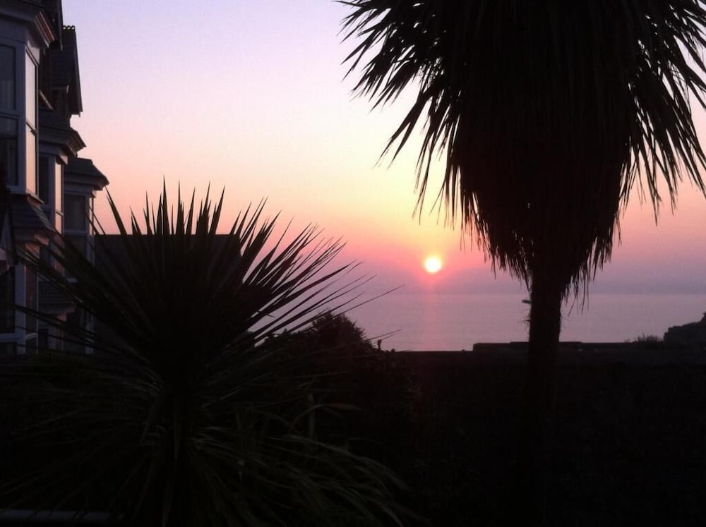 Фото The Olive Branch