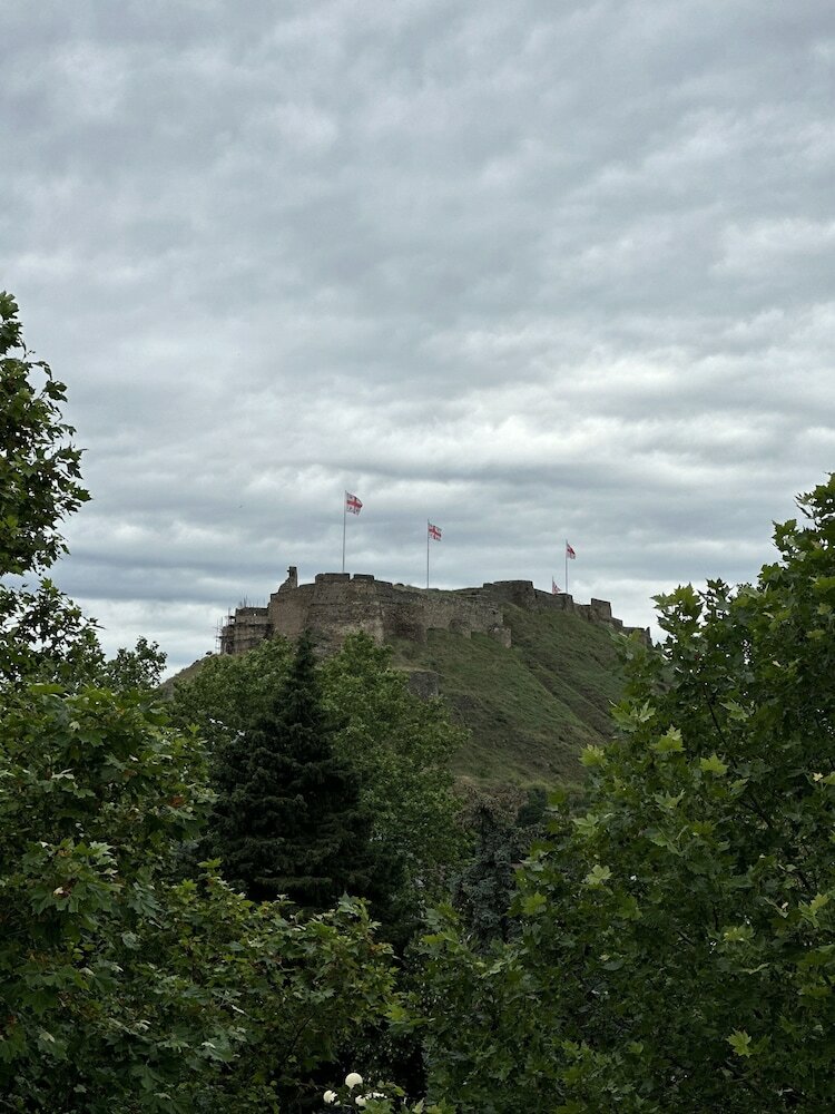 Фото Georgia Gold