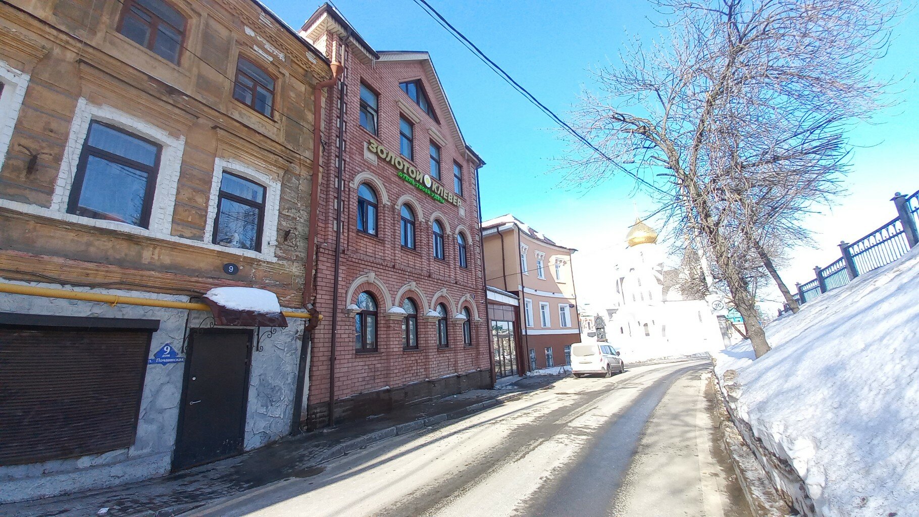 Фото Золотой Клевер