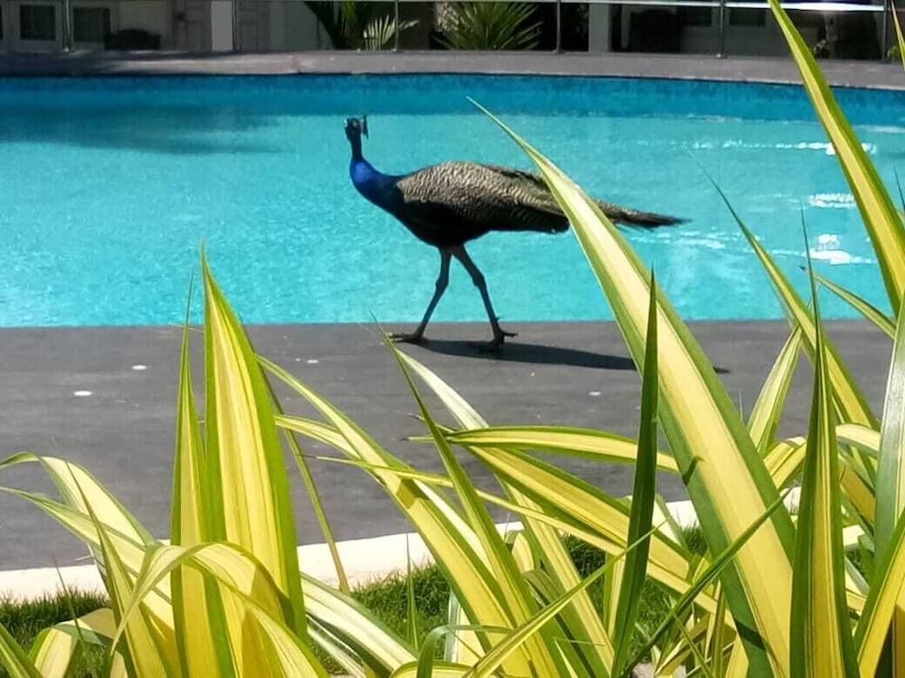 Фото Sun View Beach Resort