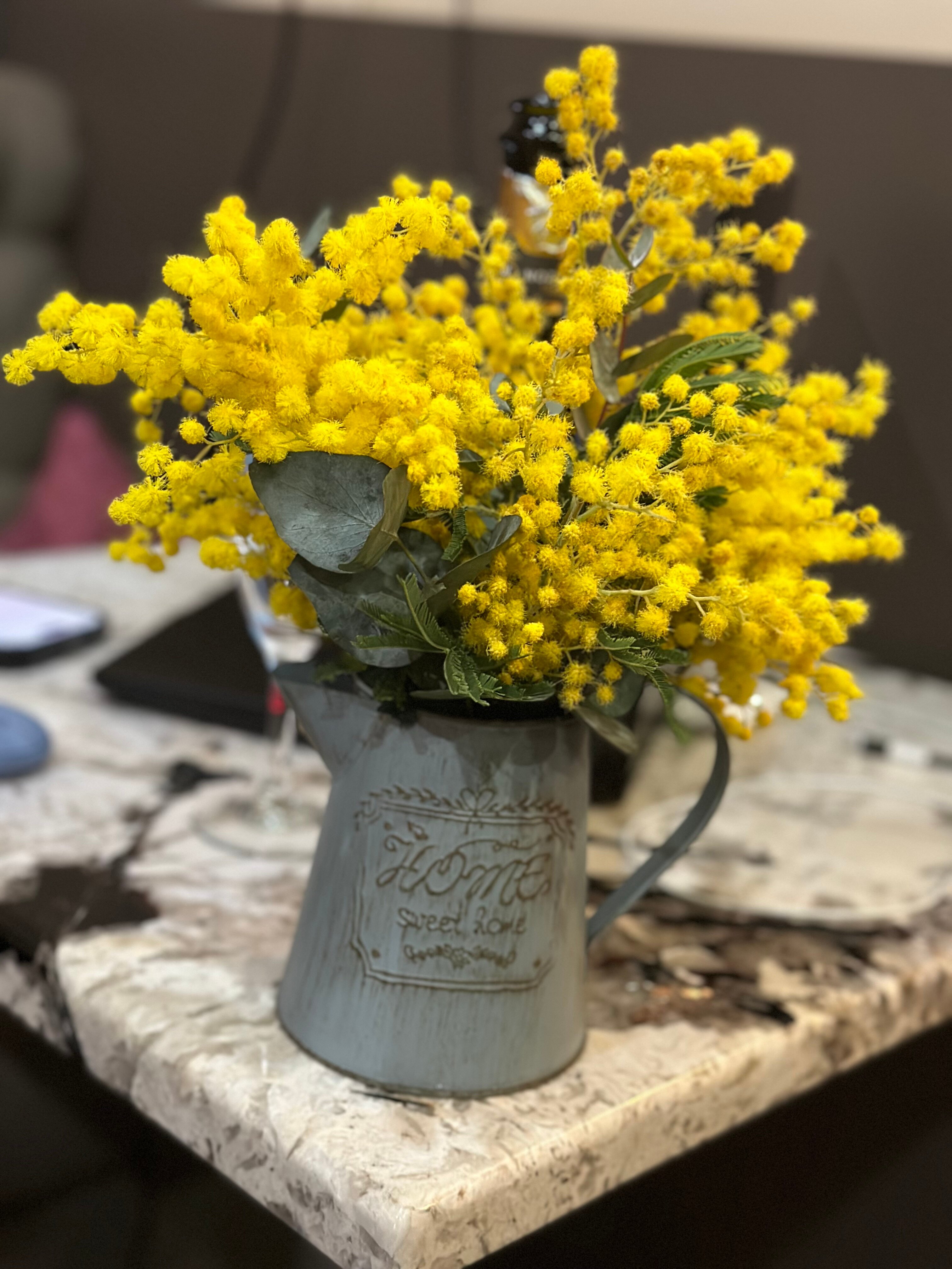 Фото Гранд Марк Syncotel