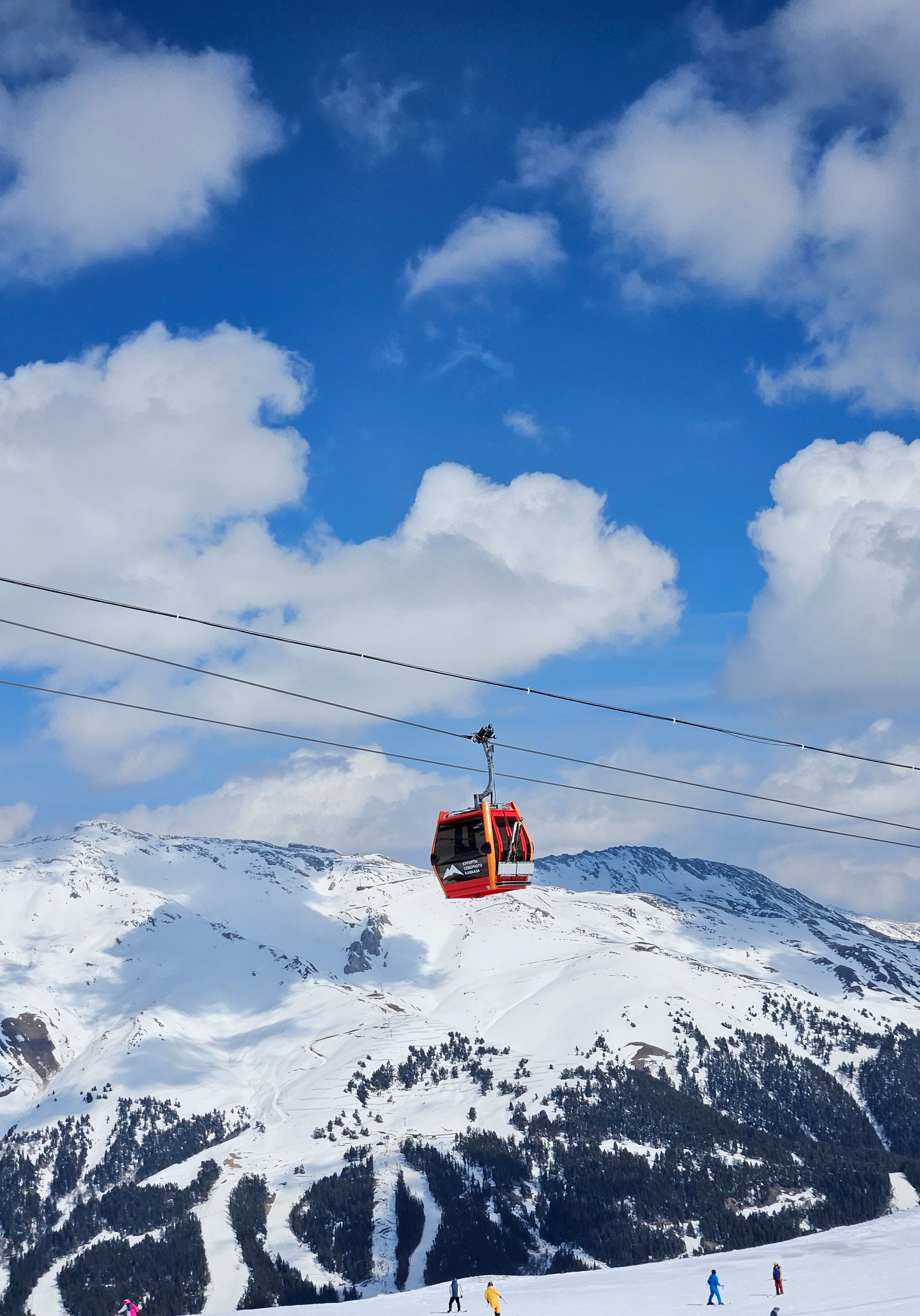 Фото Пихта-парк