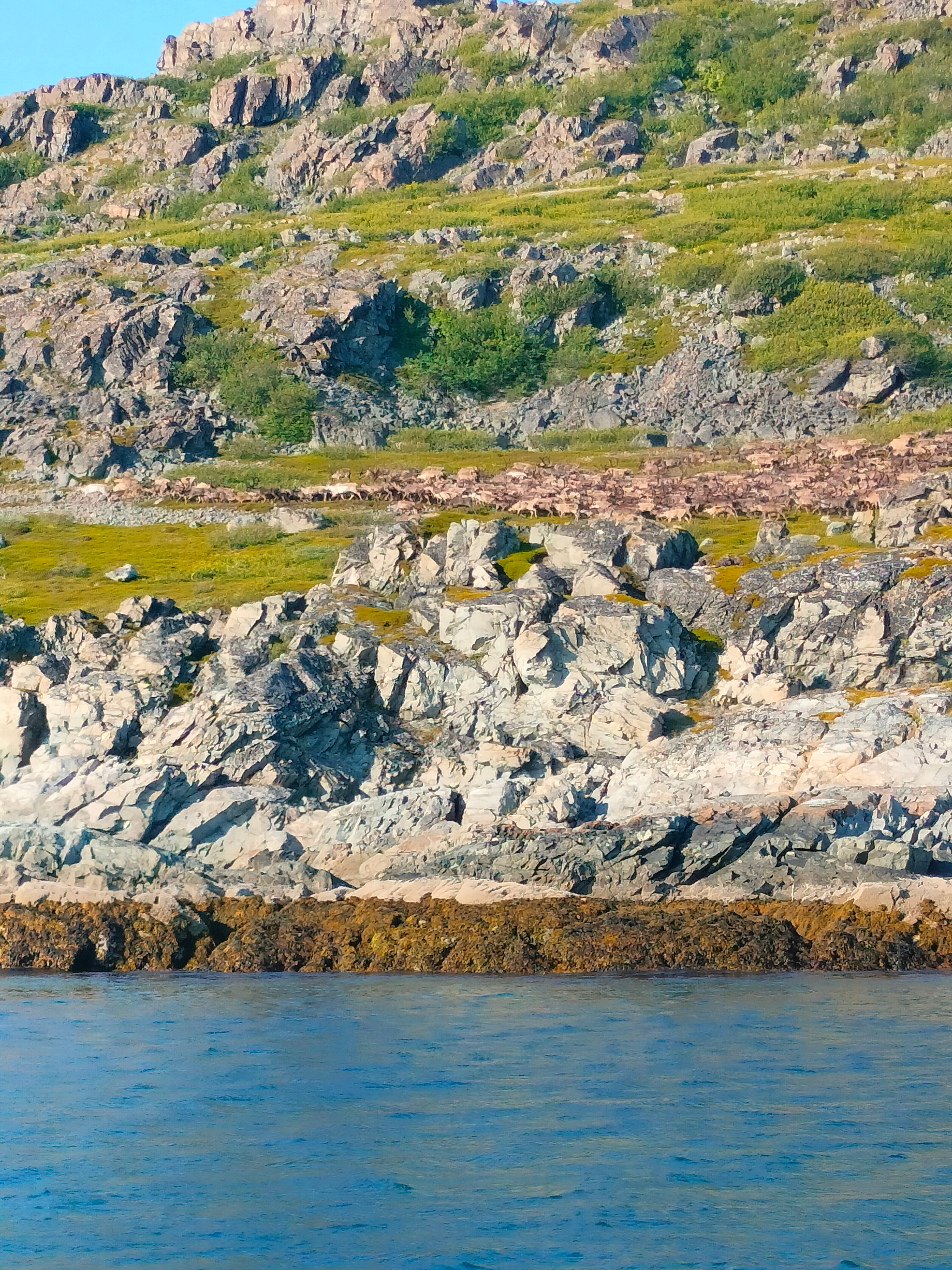 Фото Заполярный кордон