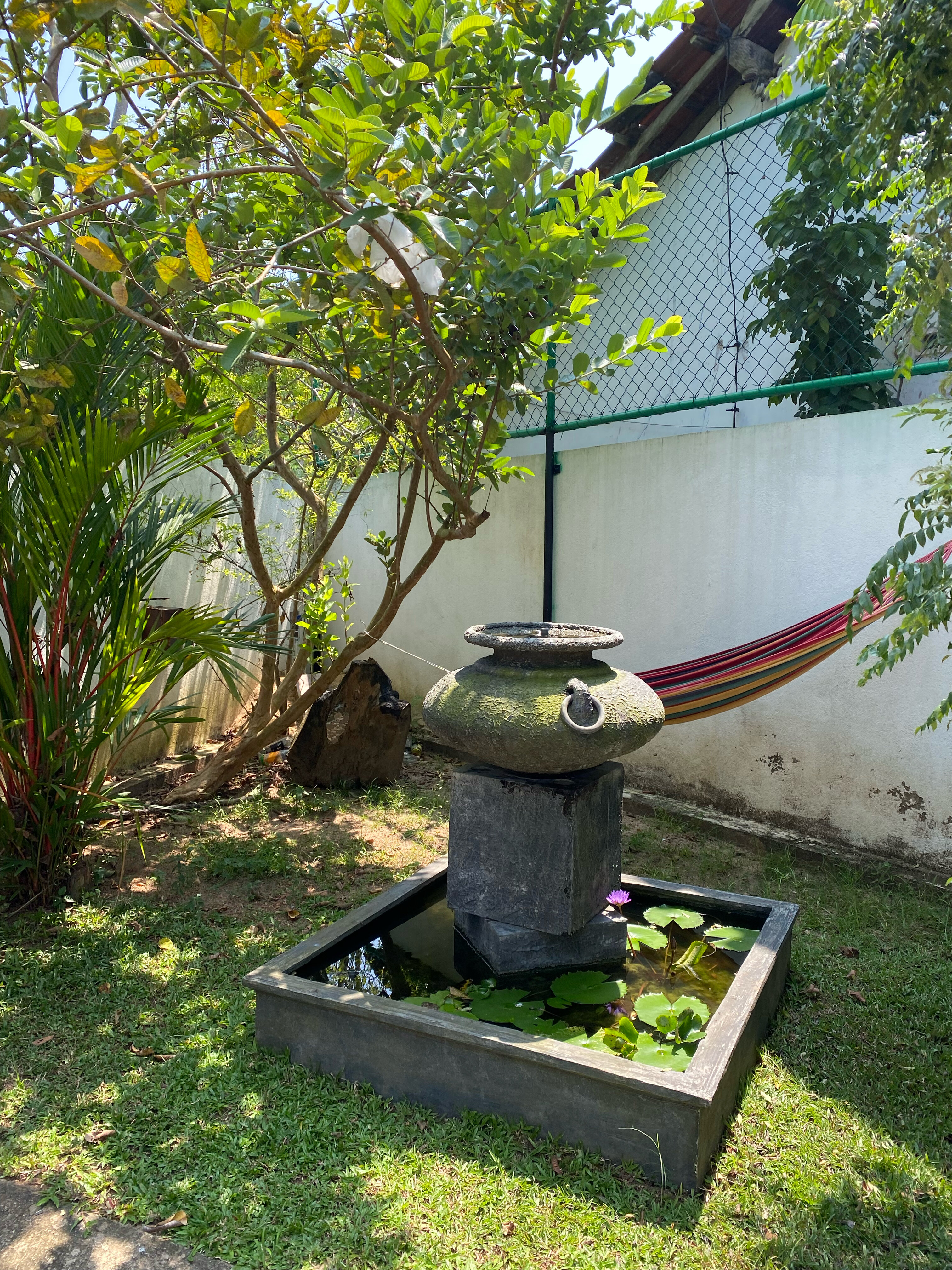 Фото Surf n Summer