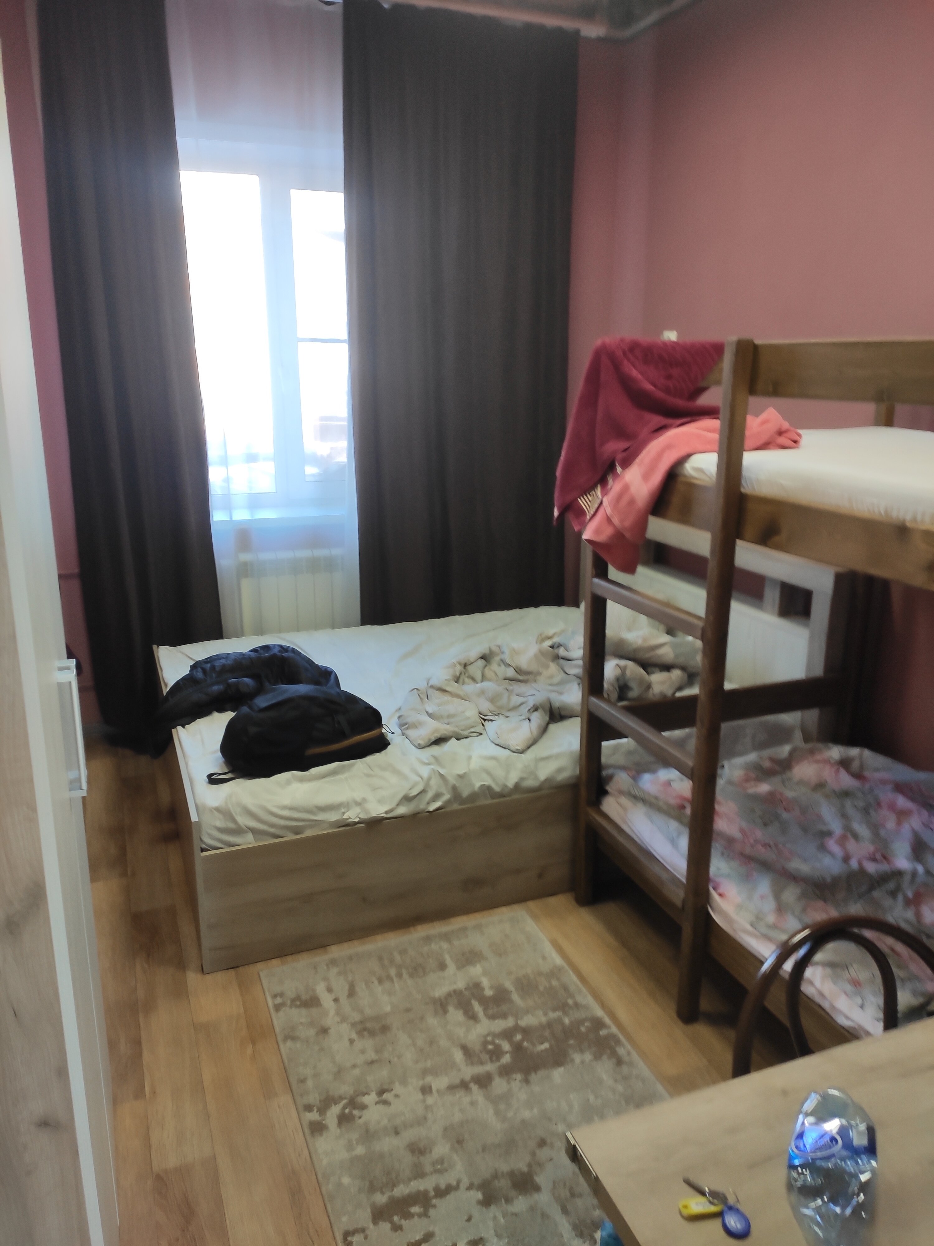 Фото Уютная Лиса