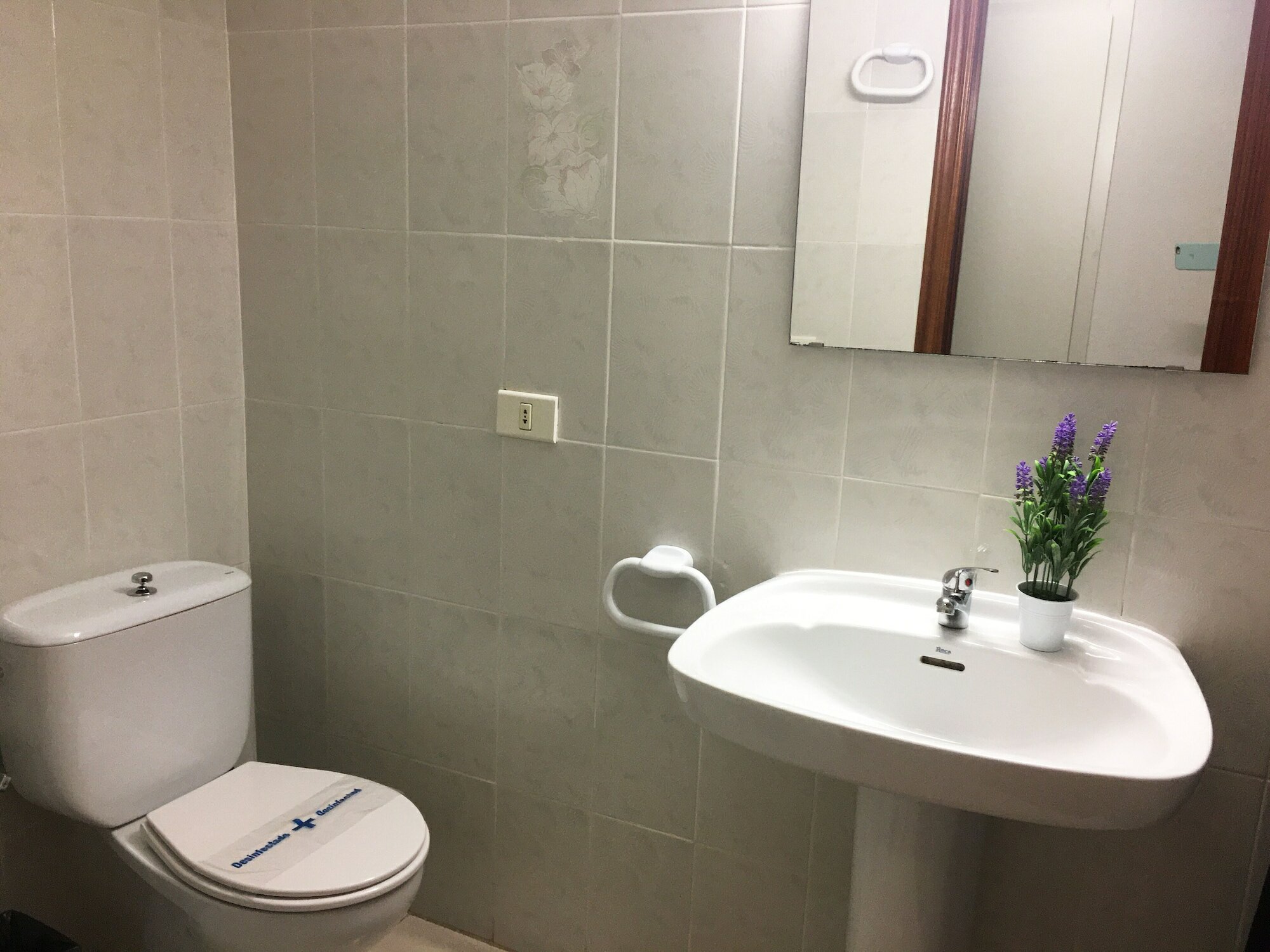 Фото Apartamentos Bernat Pie De Playa 3000