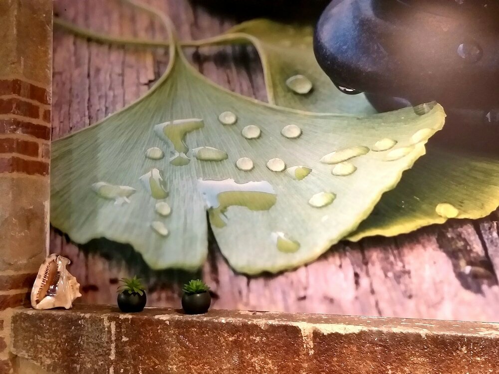 Фото Hôtel Ginkgo