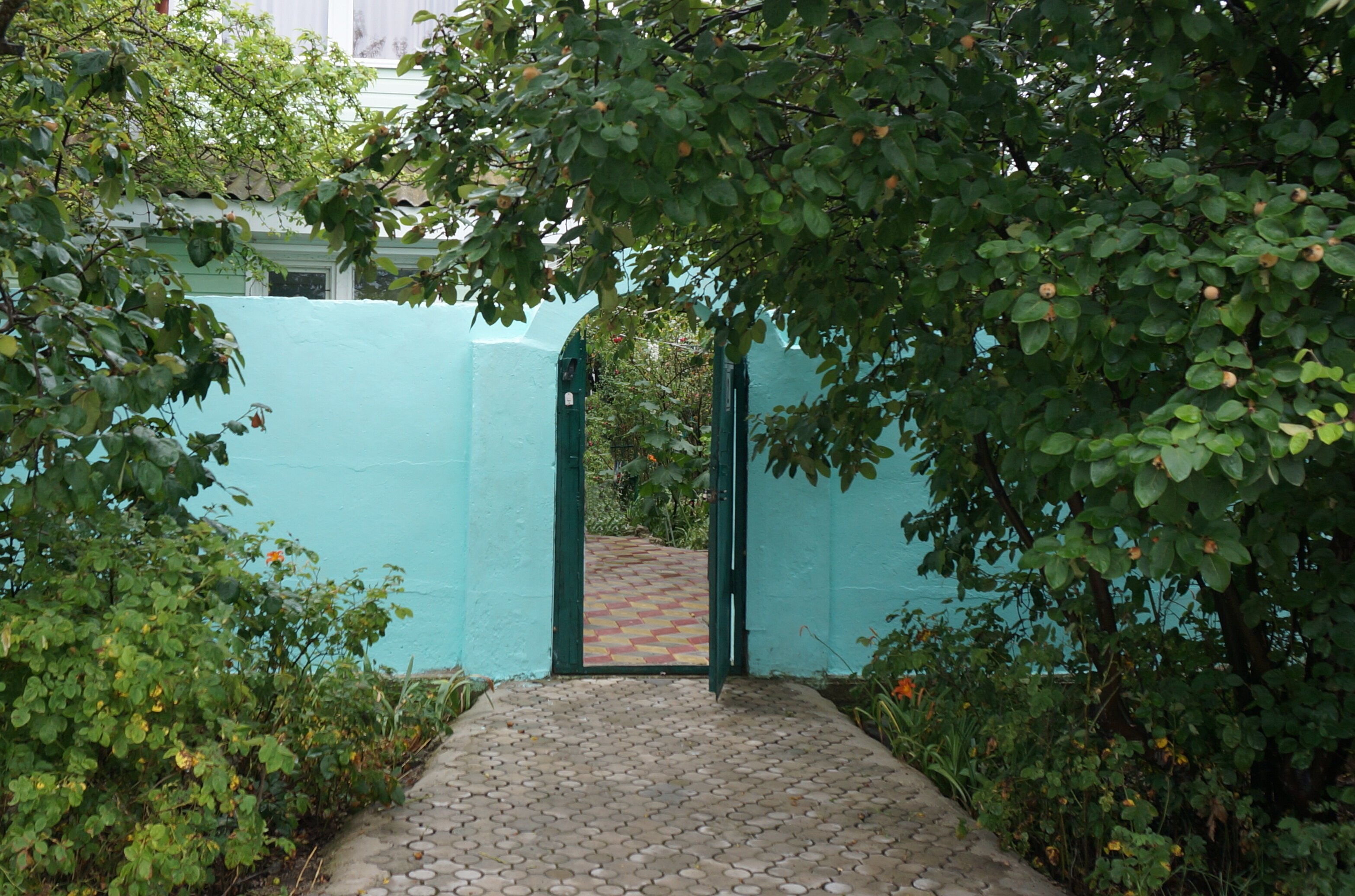 Фото Приморский 1