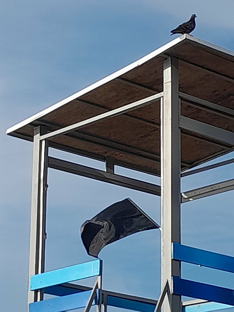 Recreation infrastructure Вышка спасателей, Zelenogradsk, photo