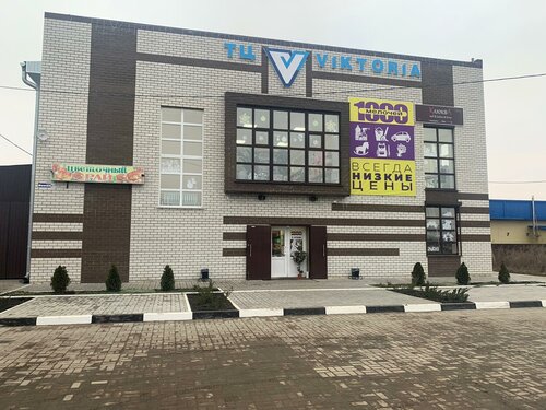 Centro comercial Виктория, , foto