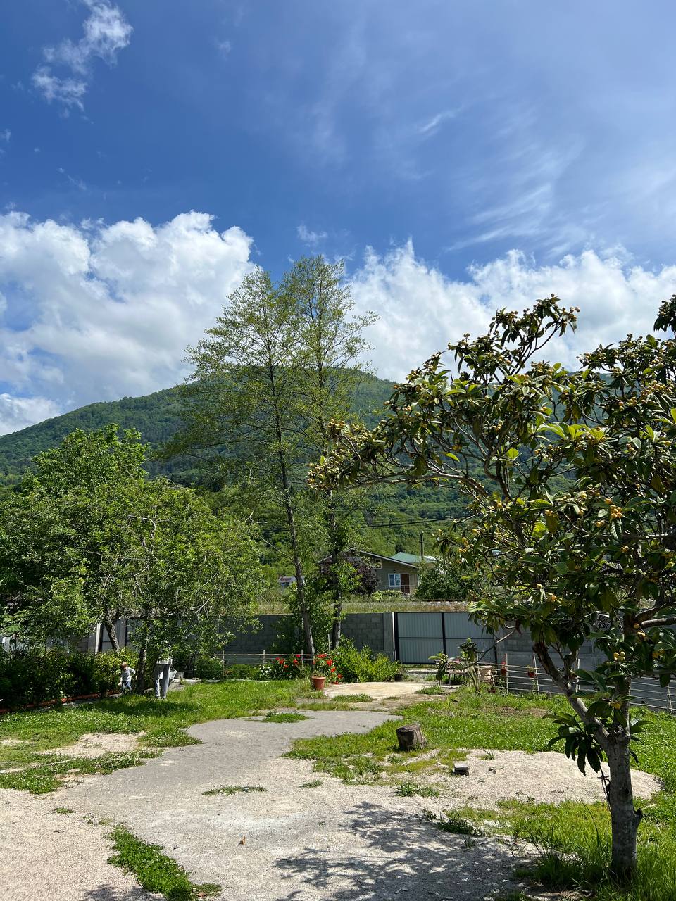 Фото Форелька