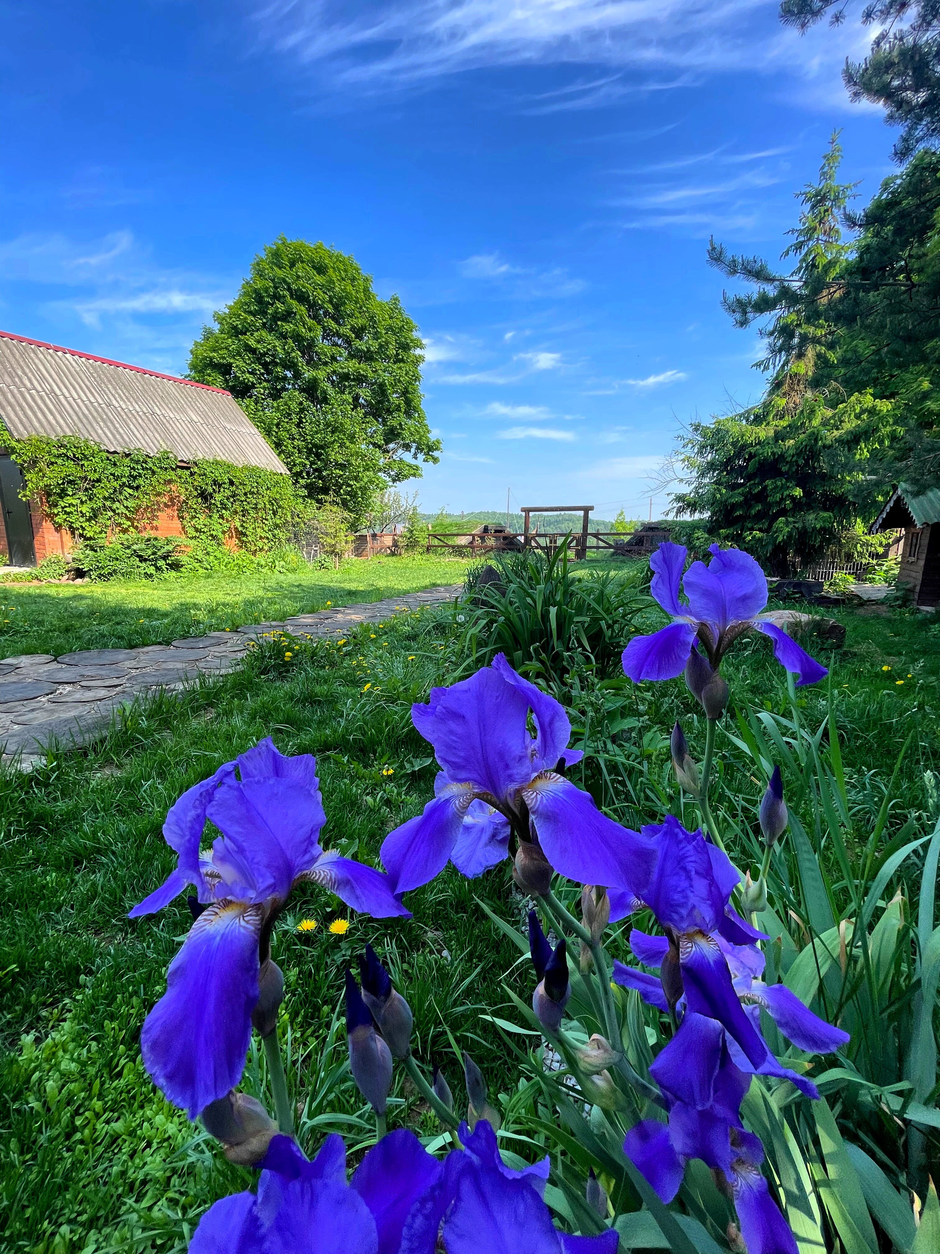 Фото Остров Kattegat