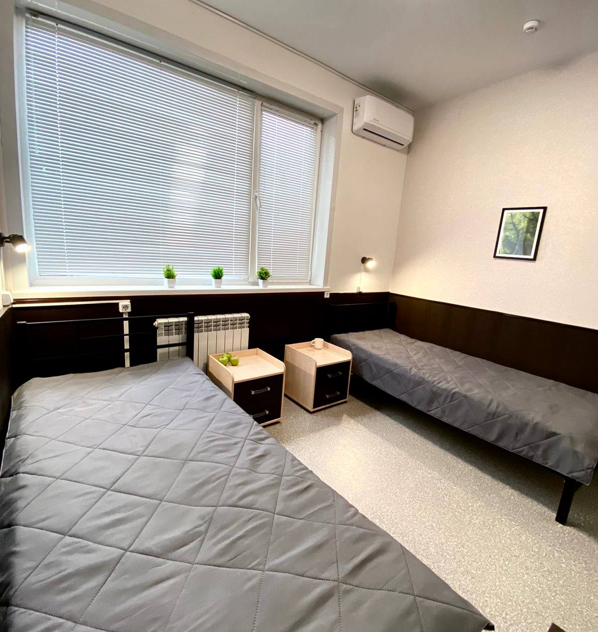 Фото Колибри