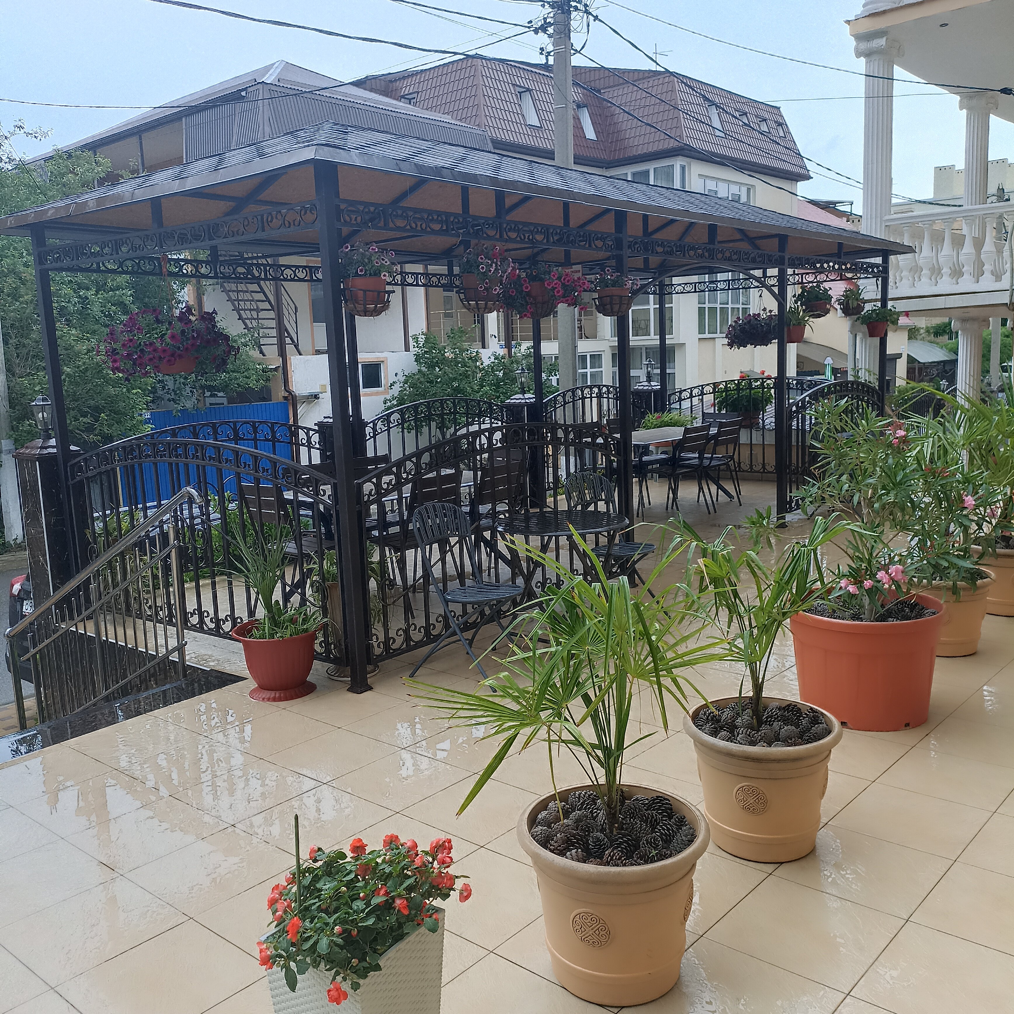 Фото Наталья