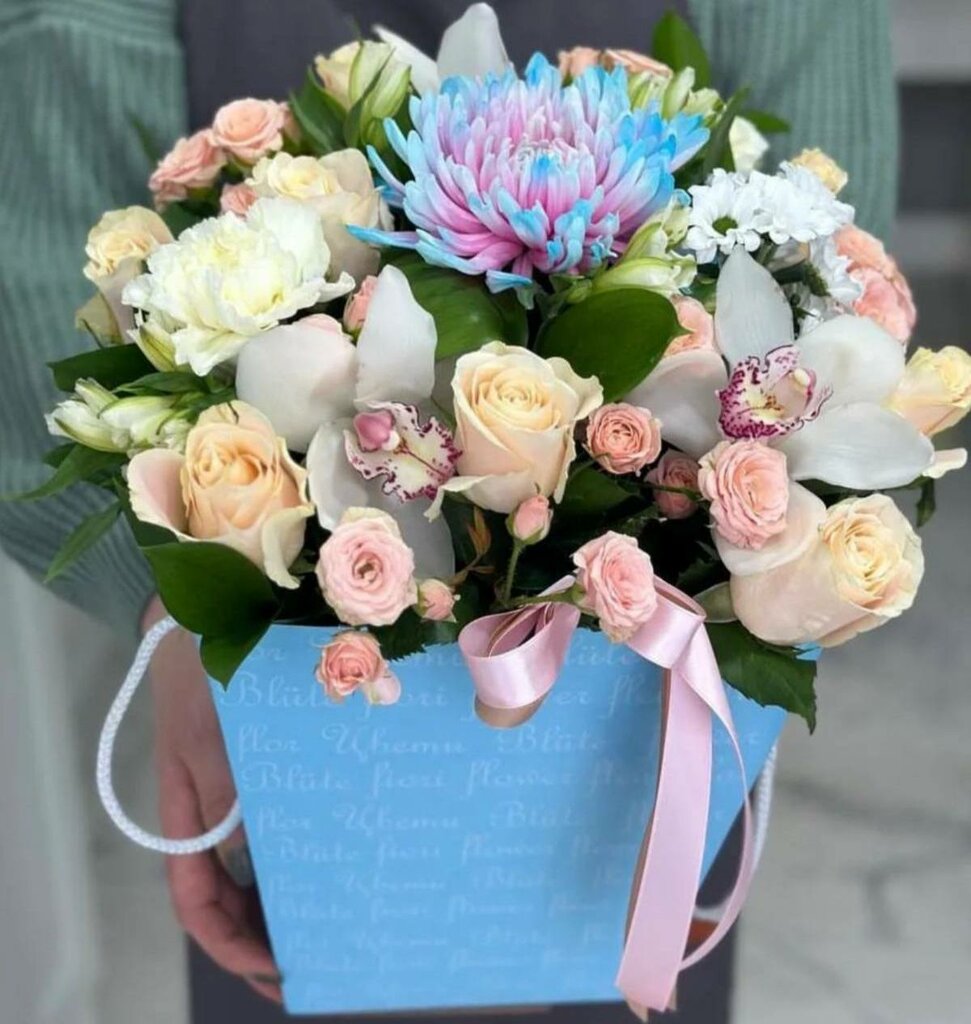 Нураддин А.