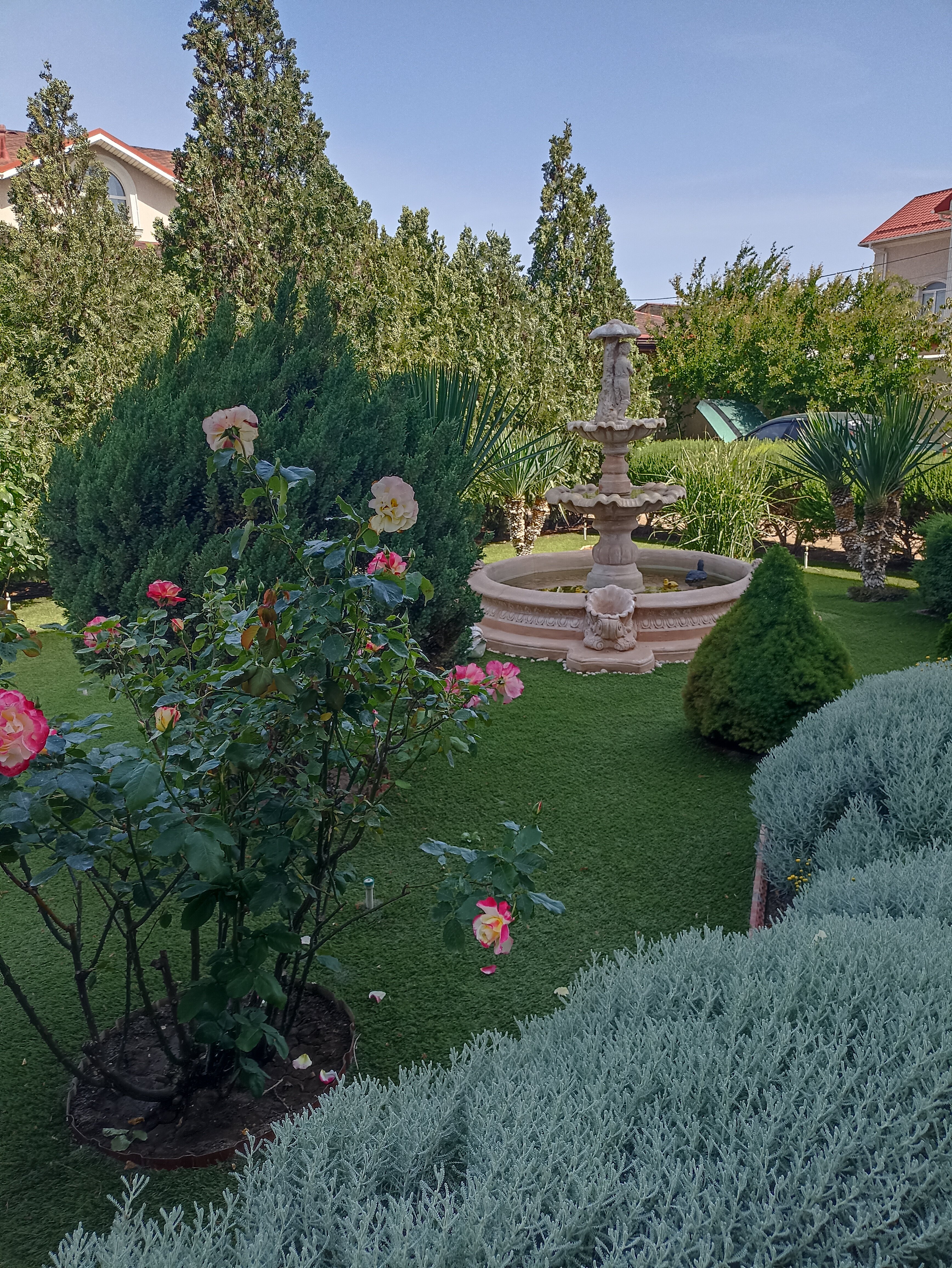 Фото Легкий Бриз