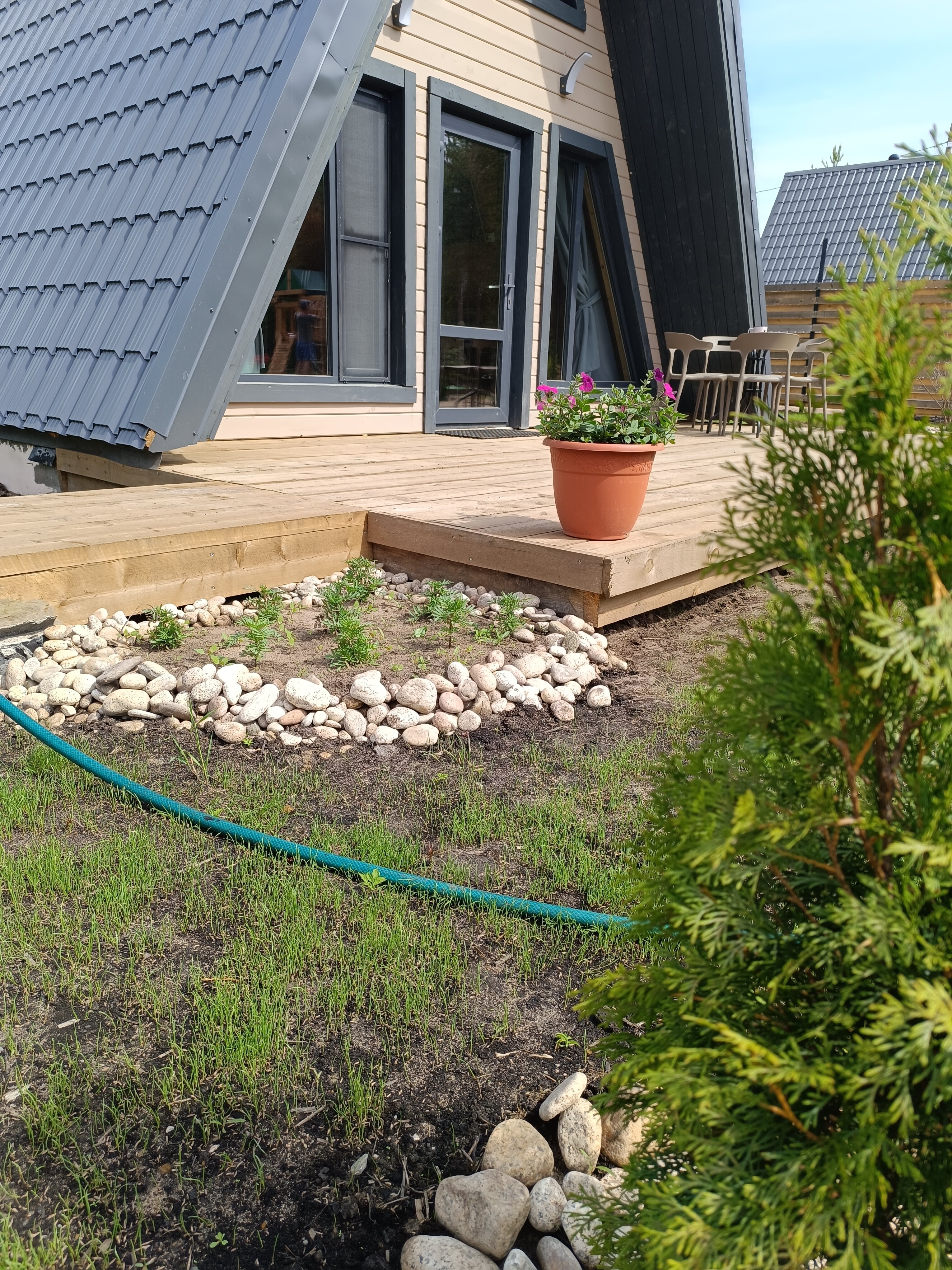 Фото Infinity Forest