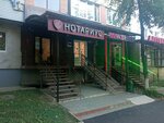 Нотариус Черчесова Виктория Александровна (Dovatora Avenue, 43), notaries