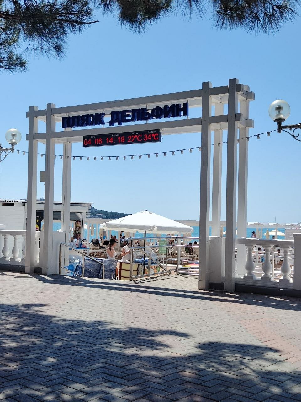 Фото Астерия