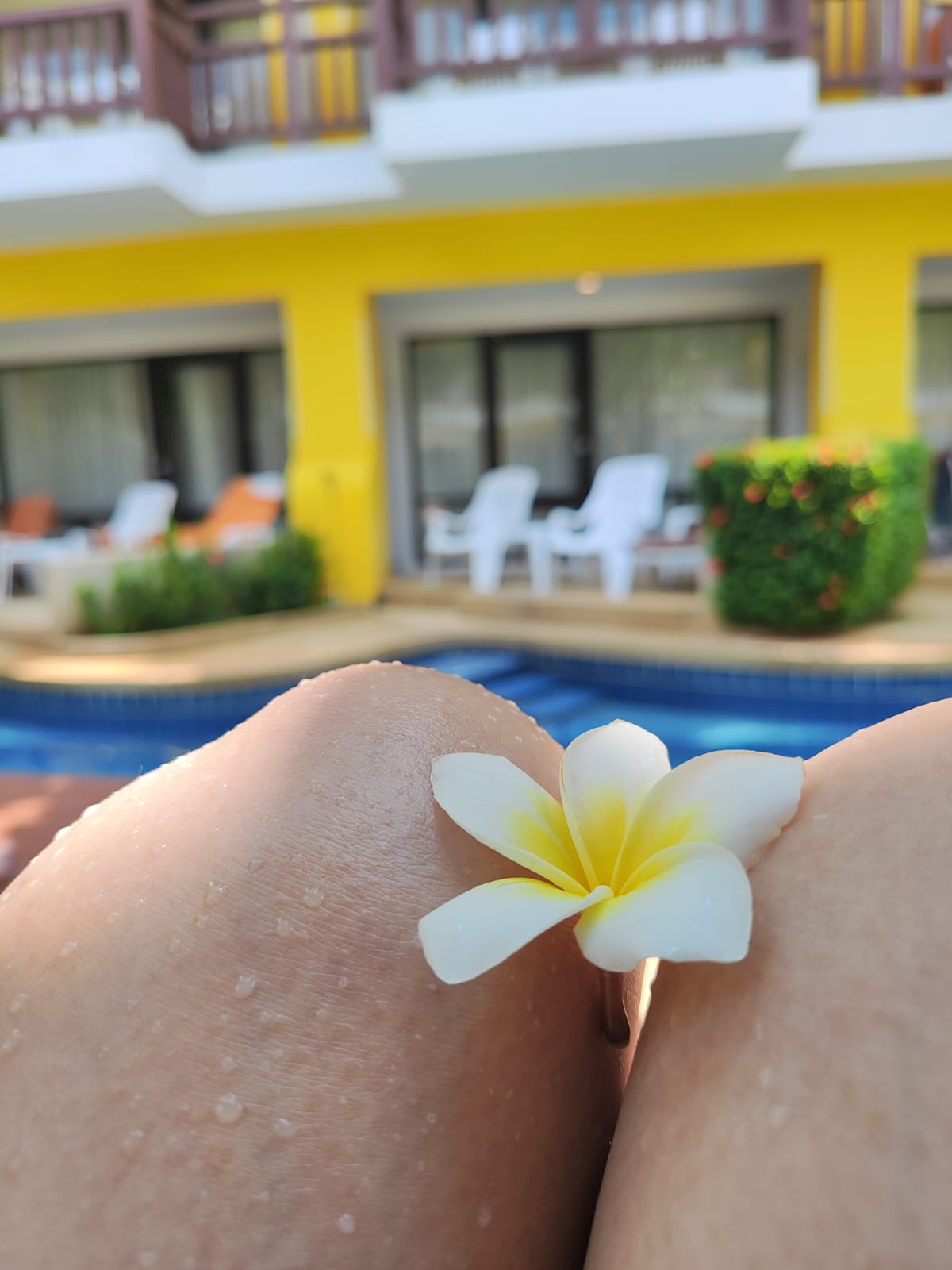 Фото Woraburi Phuket Resort and Spa