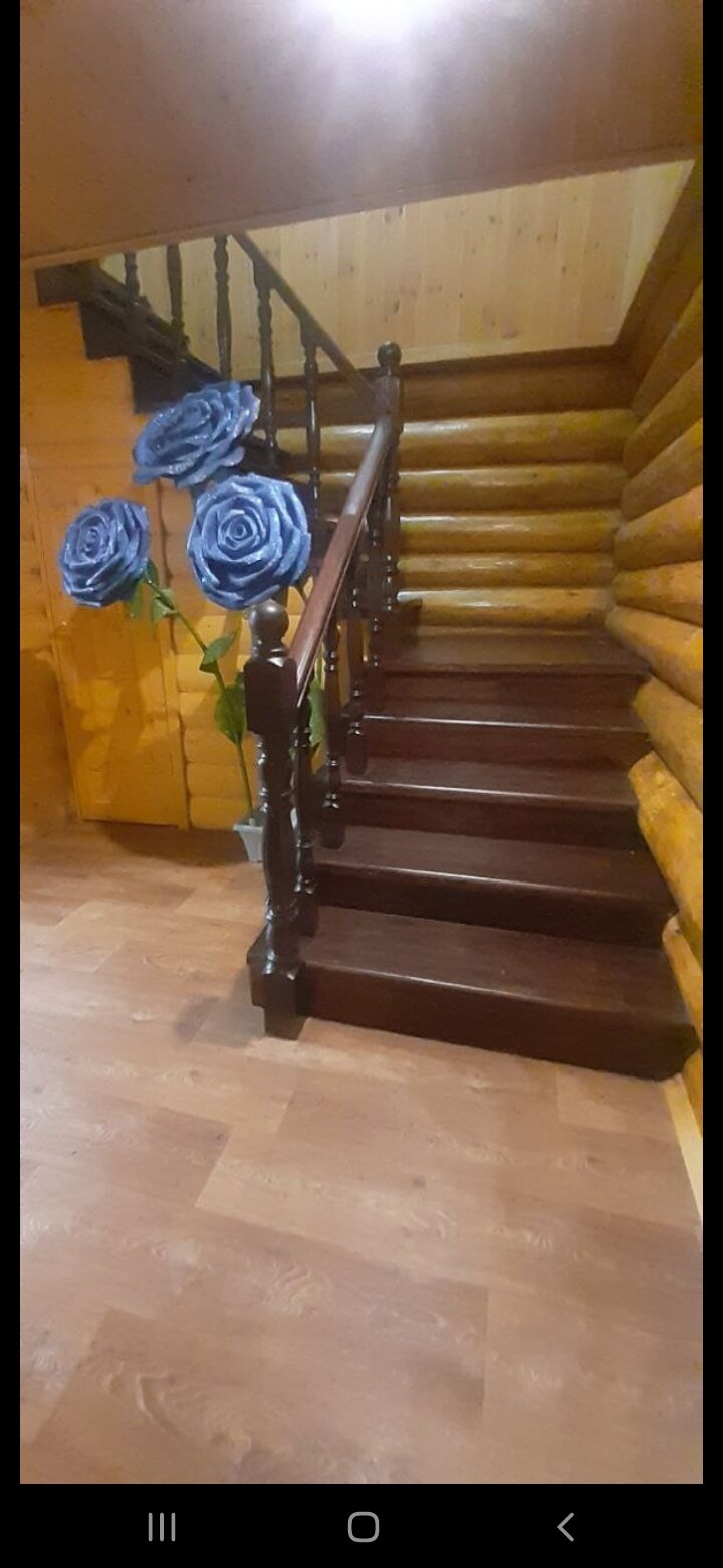 Фото На Светлояре