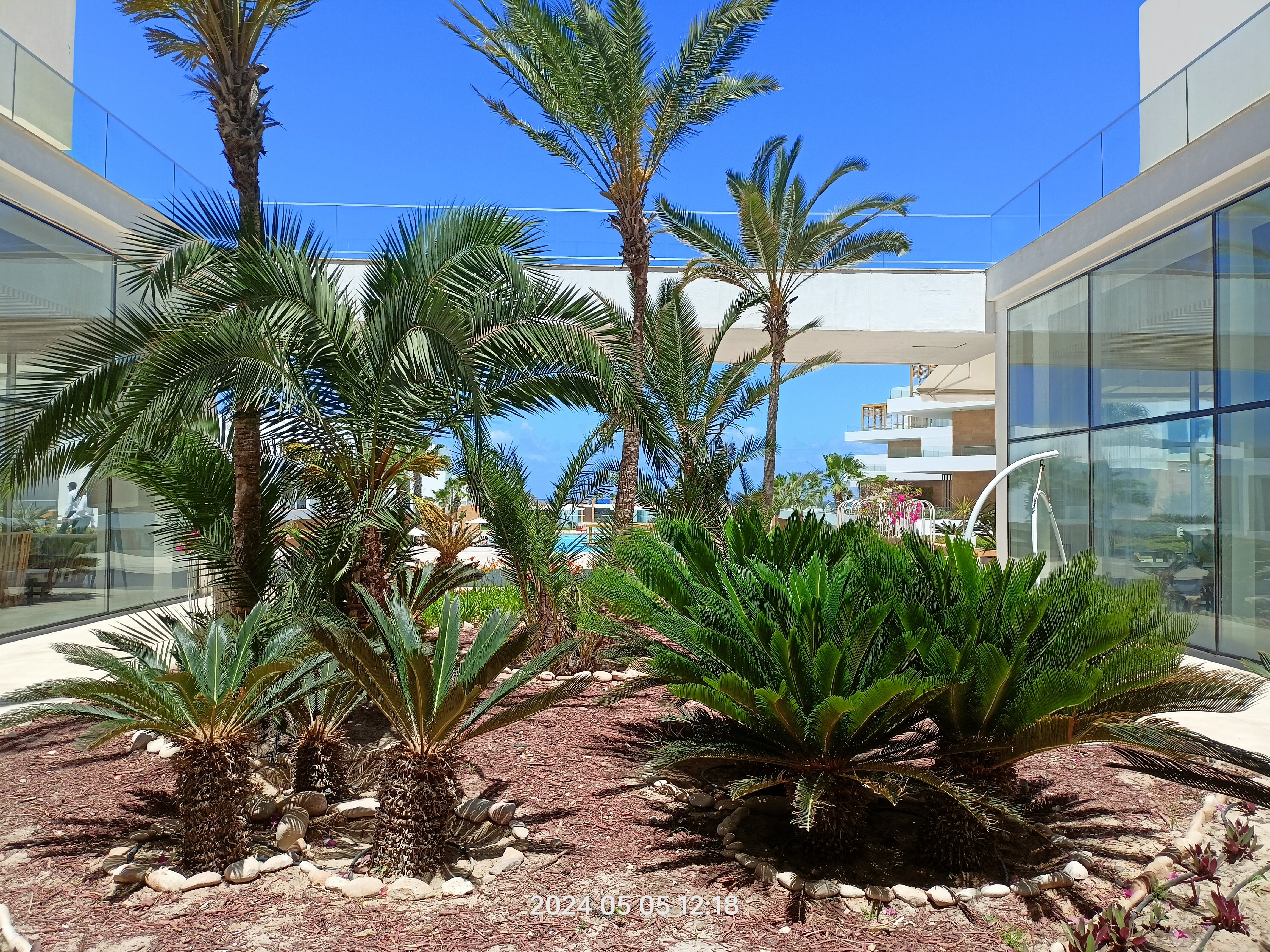 Фото The G Seashell