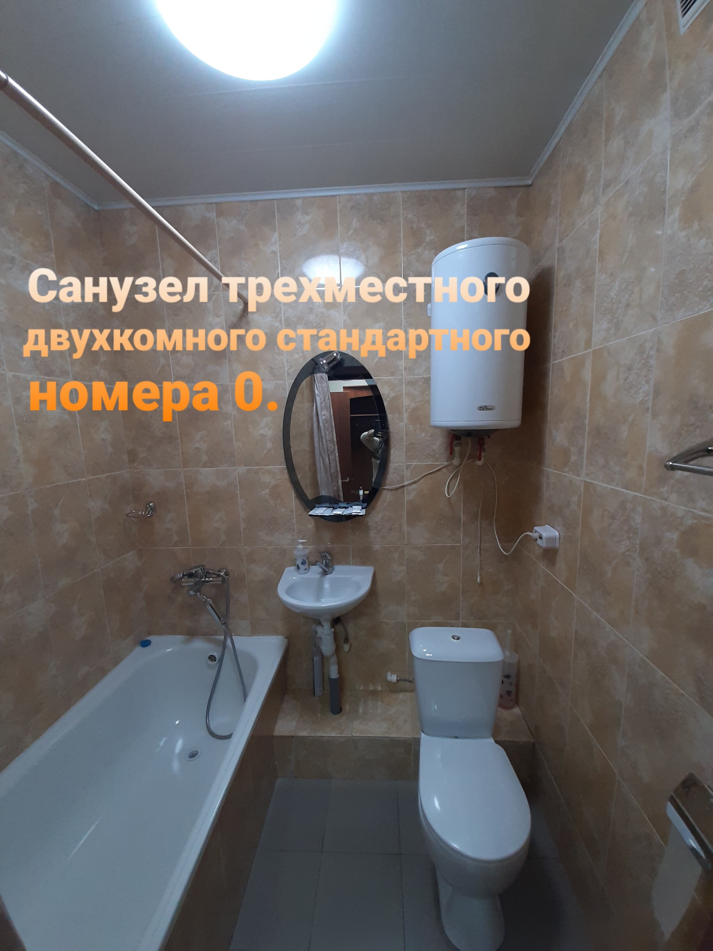 Фото Колибри