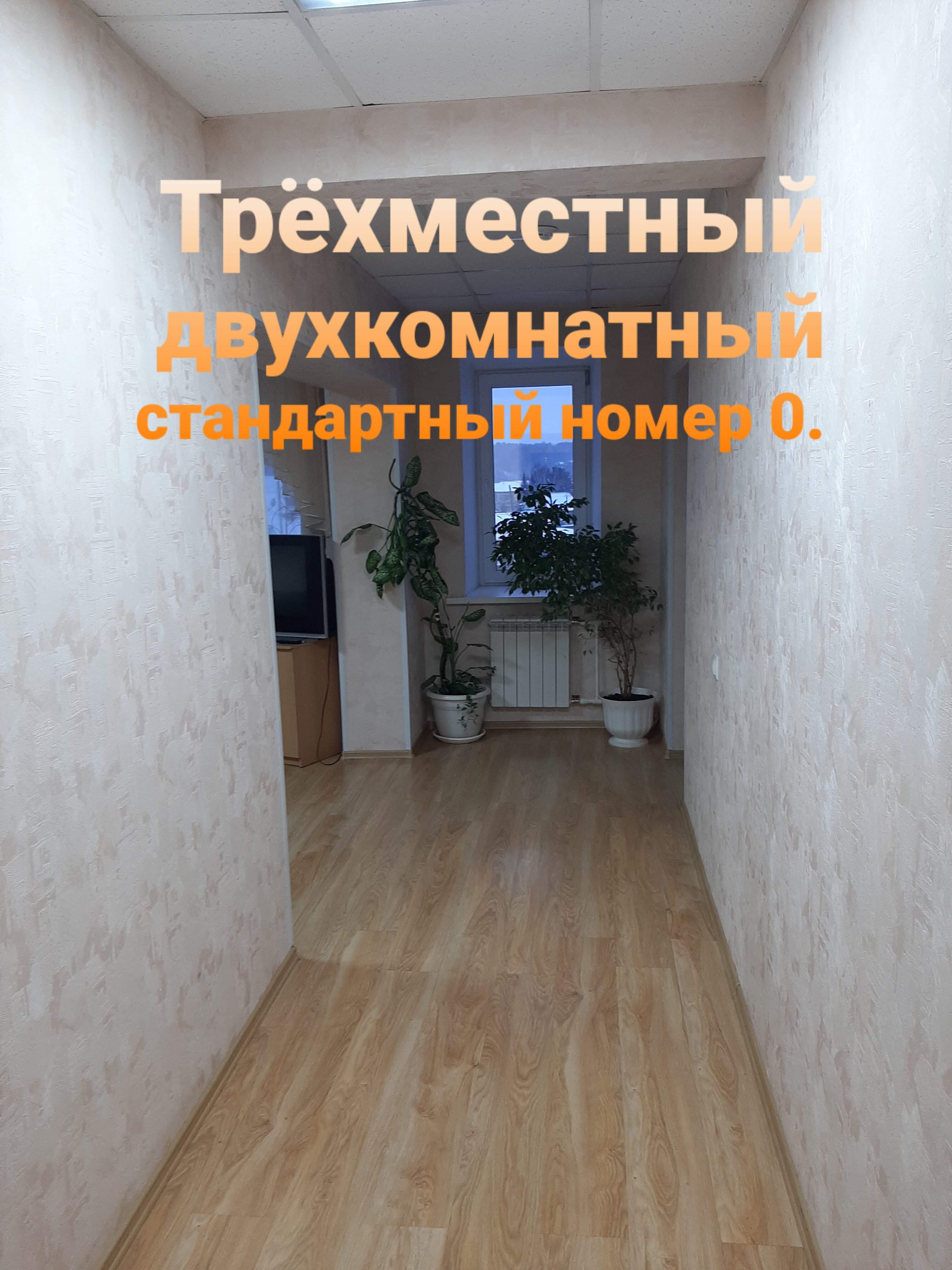 Фото Колибри