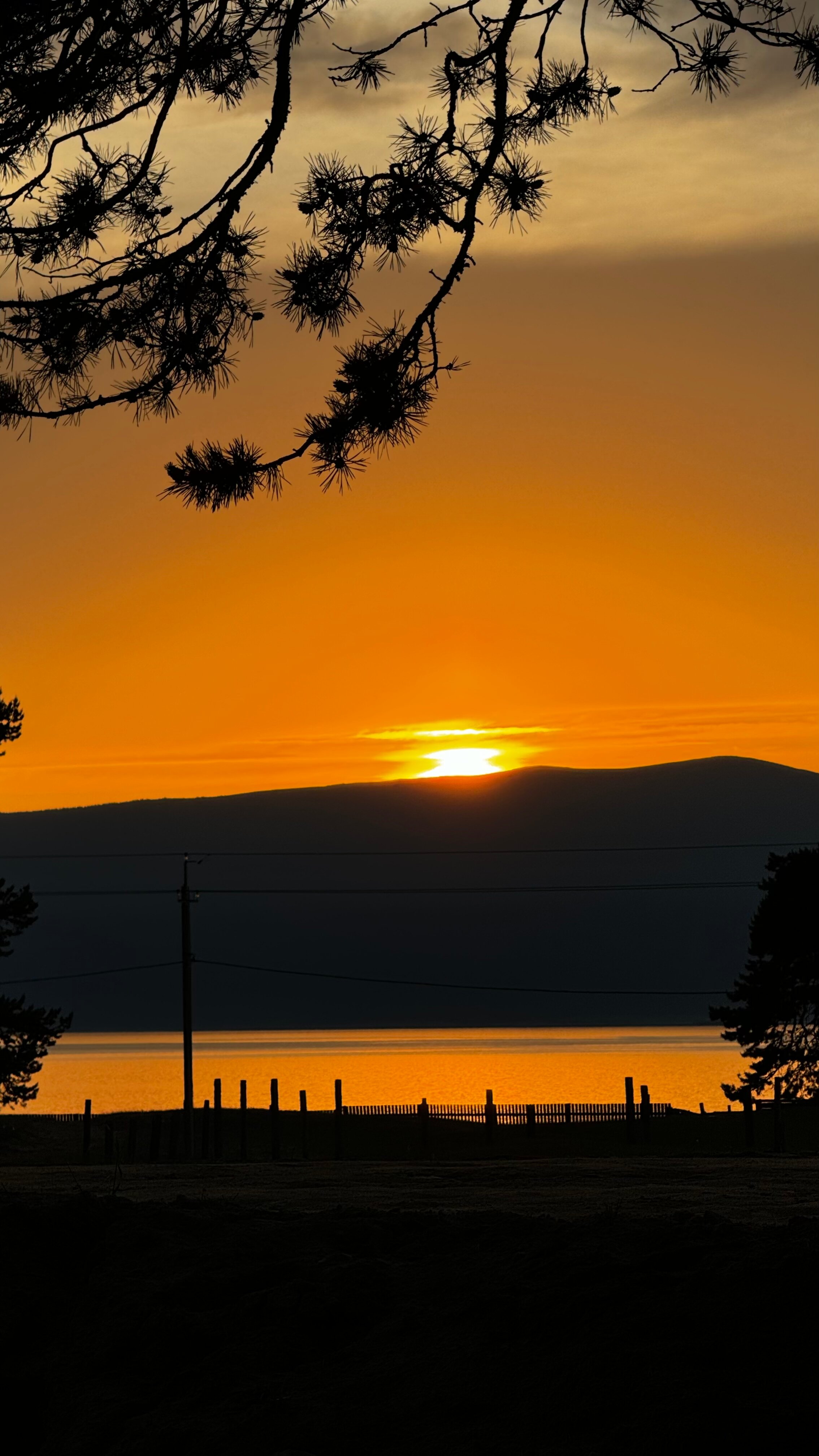Фото У Лукоморья