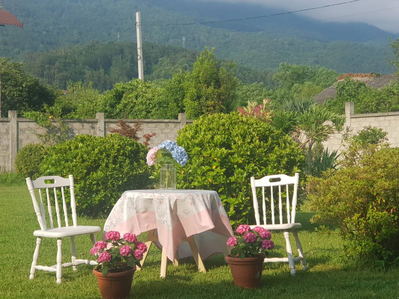 Фото Витторио