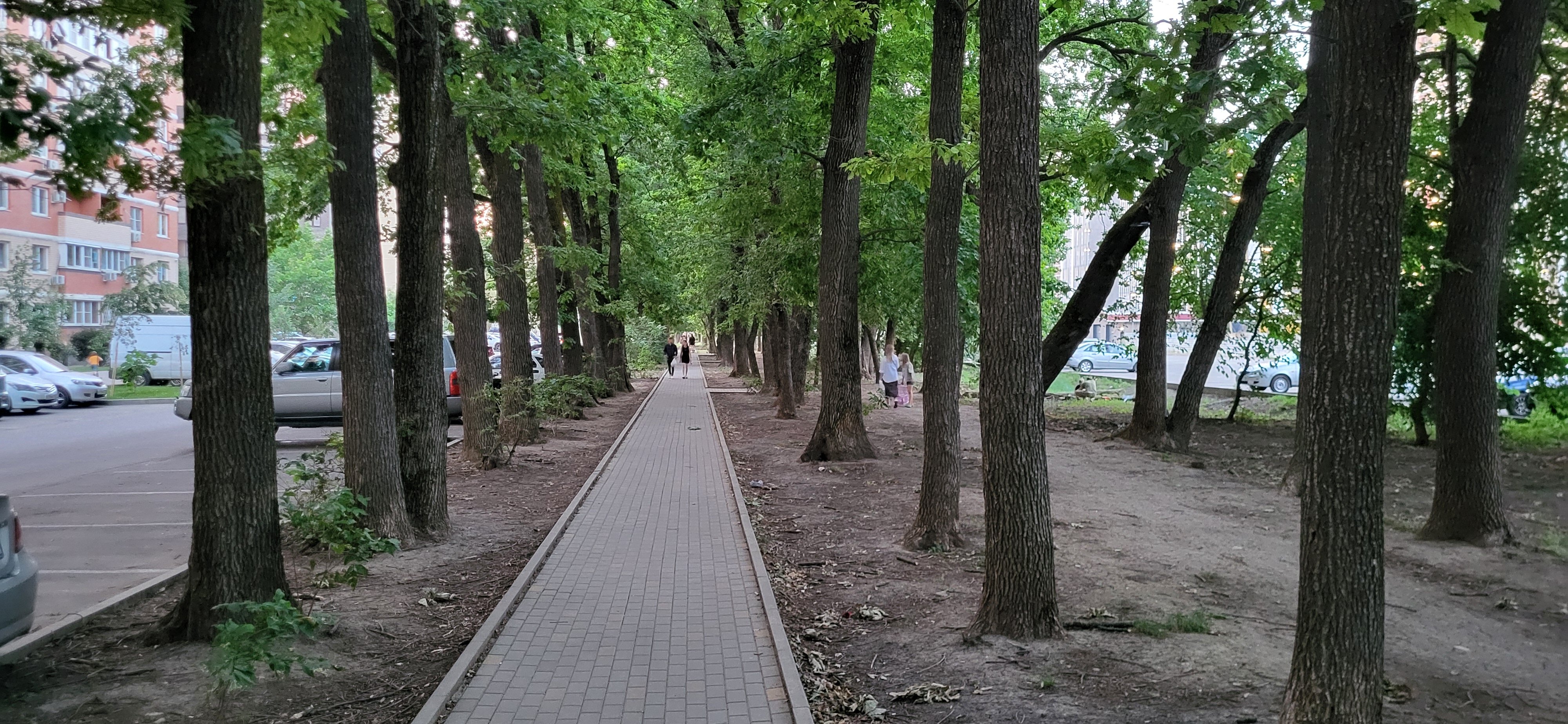 Фото Парк у дома