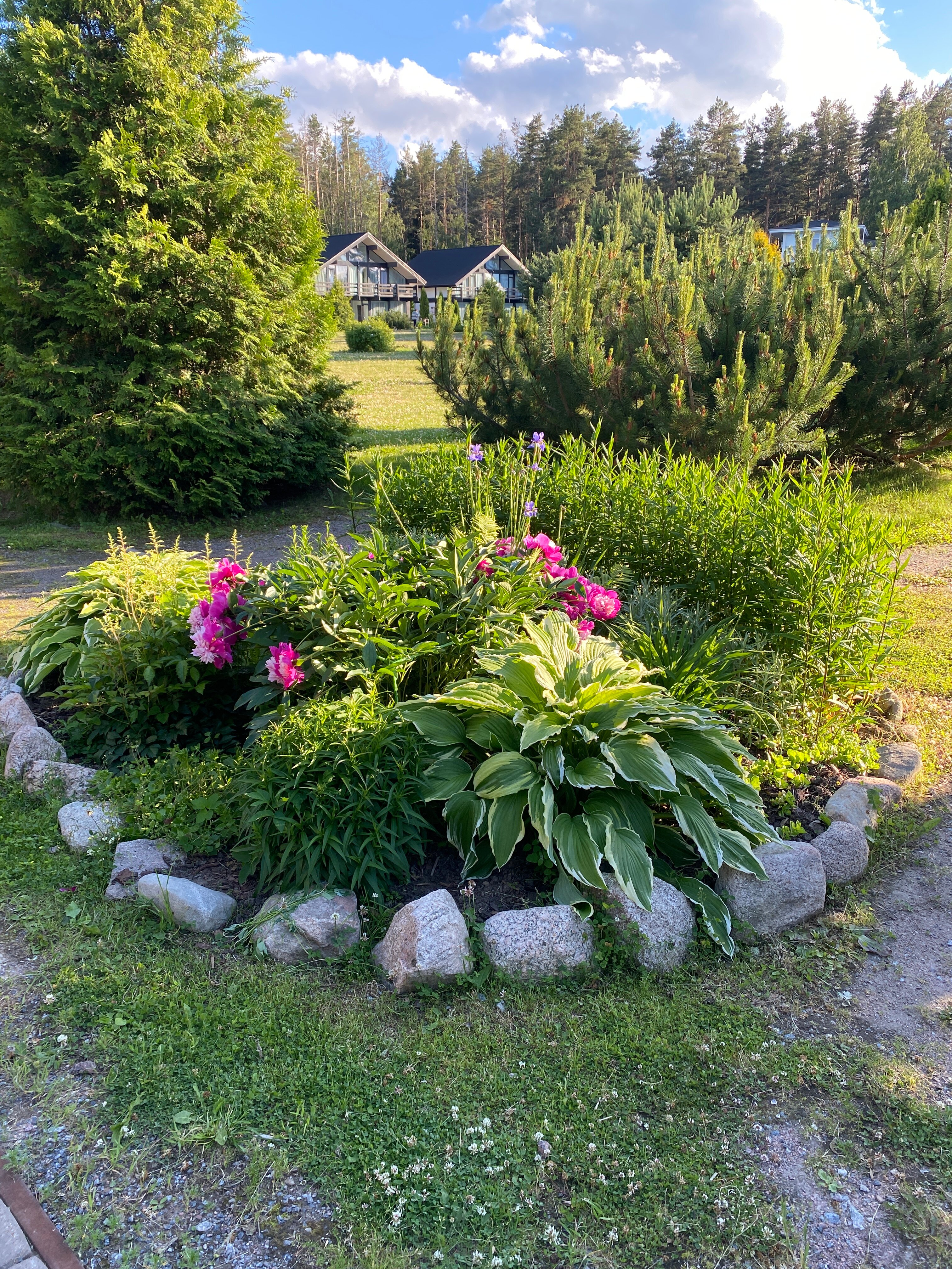 Фото Давинчи Парк