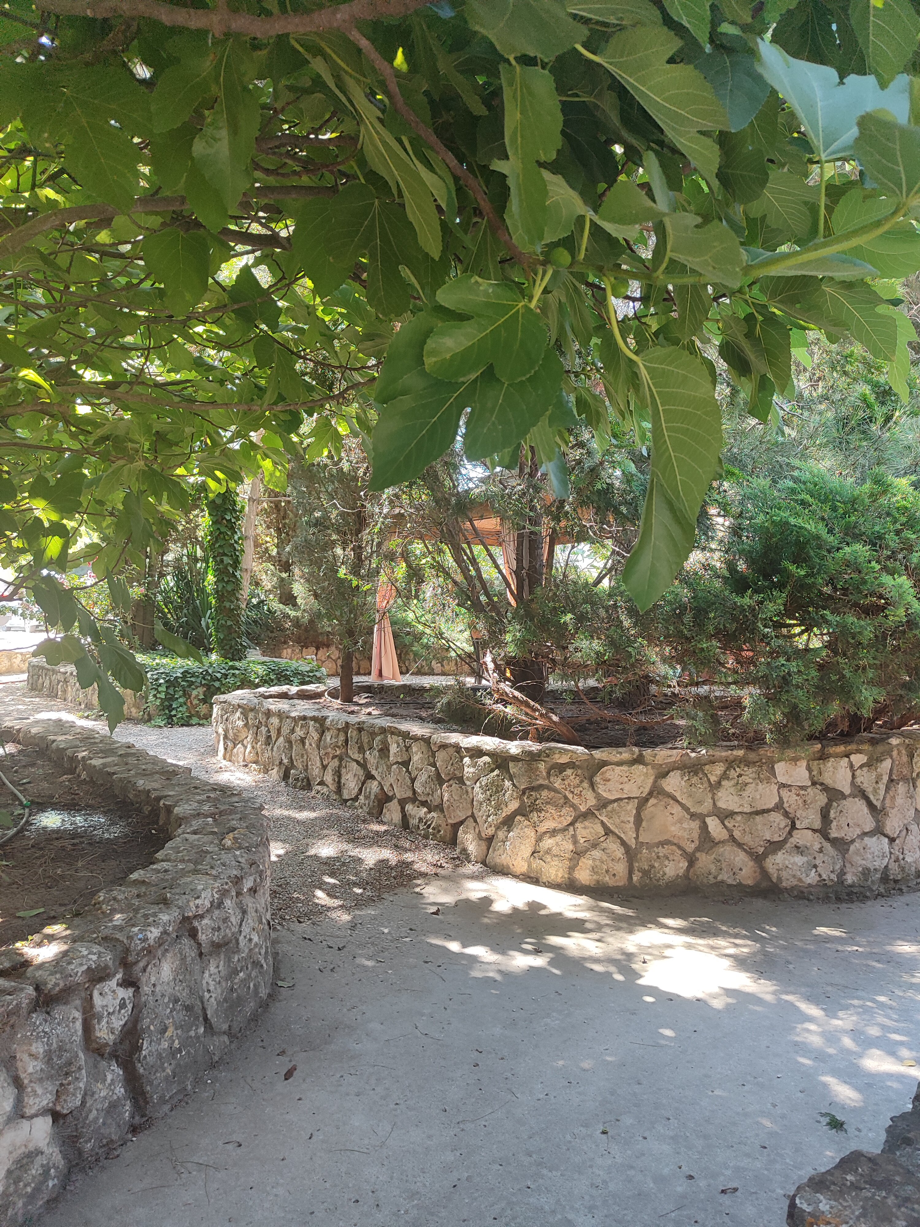 Фото Пансионат Соната