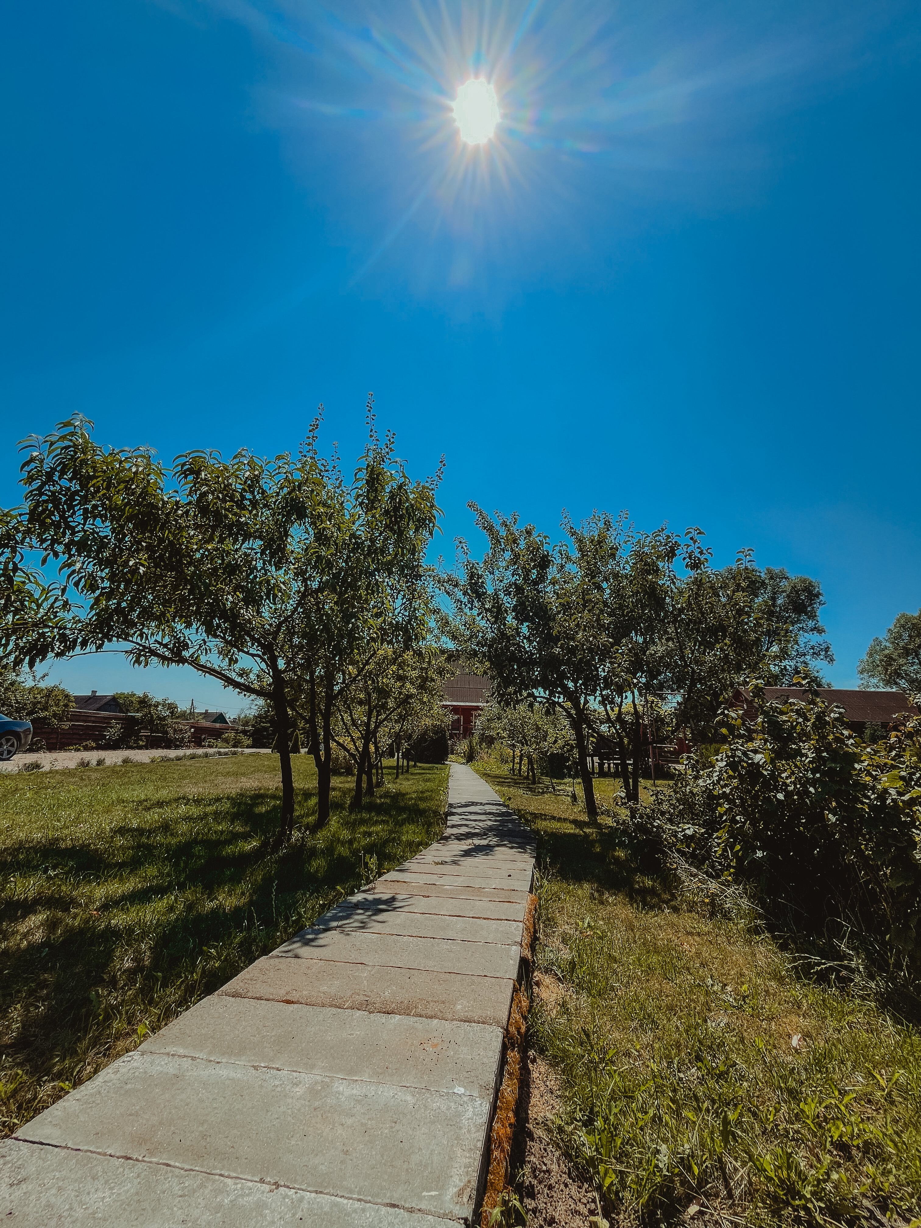 Фото Агроусадьба Мечта в Беловежской пуще