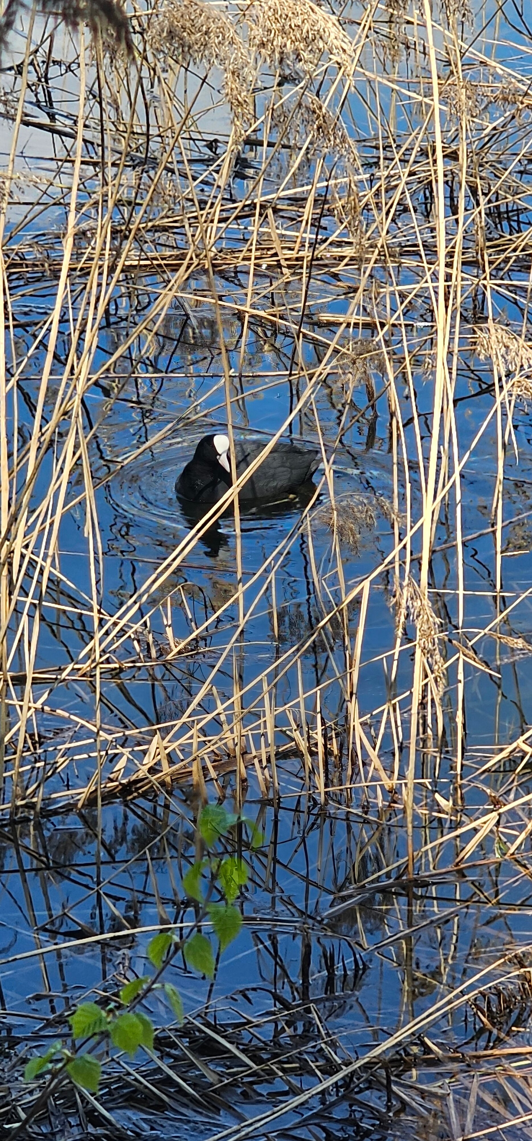 Фото Дом у озера