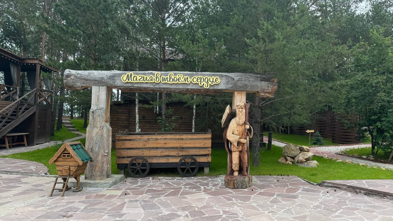 Фото Магия леса