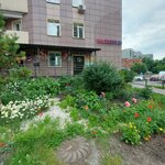 Жизнь (Transportnaya Street, 93А), psychological service