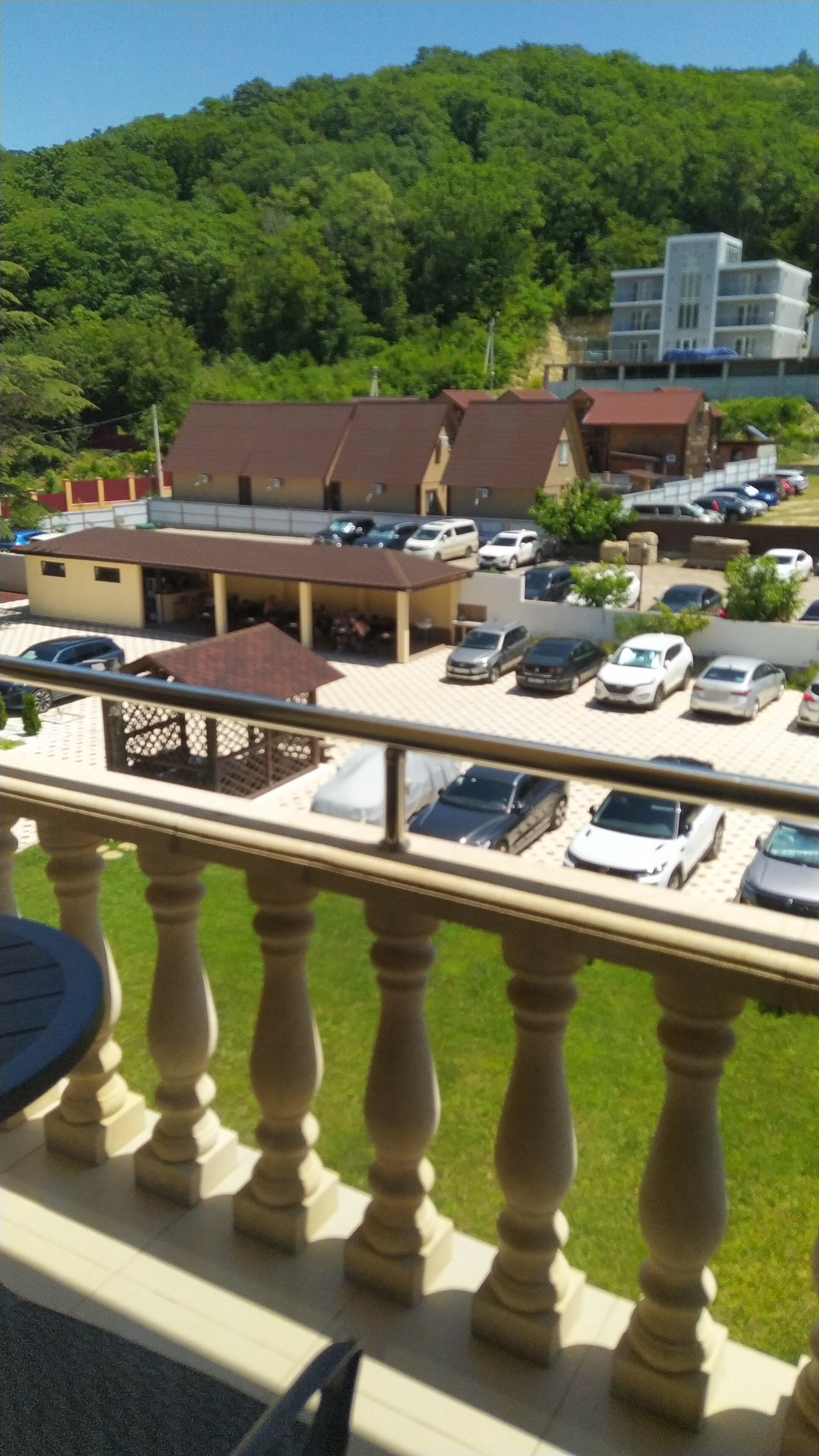 Фото Аммонит