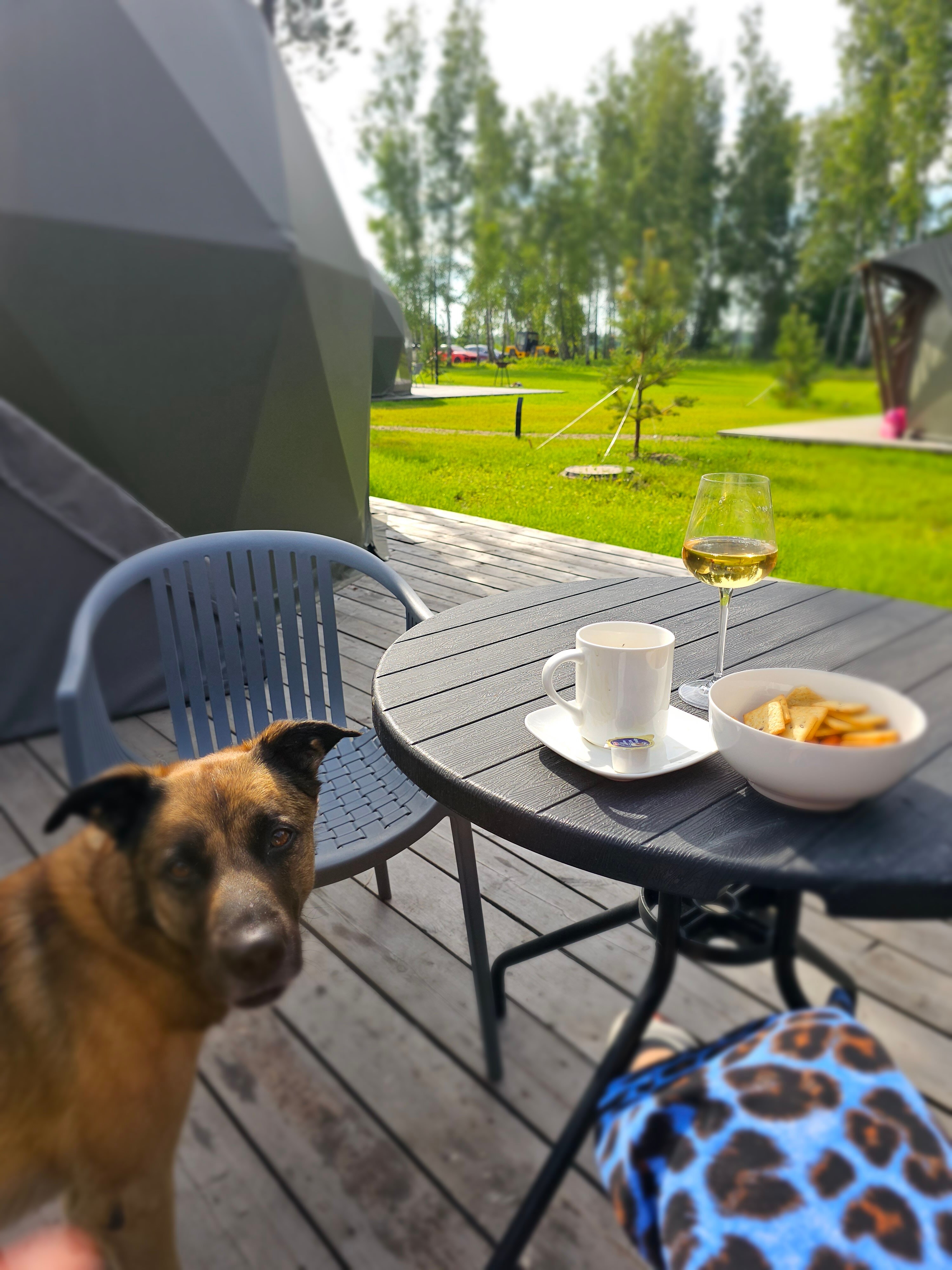 Фото Лаки Глэмпинг