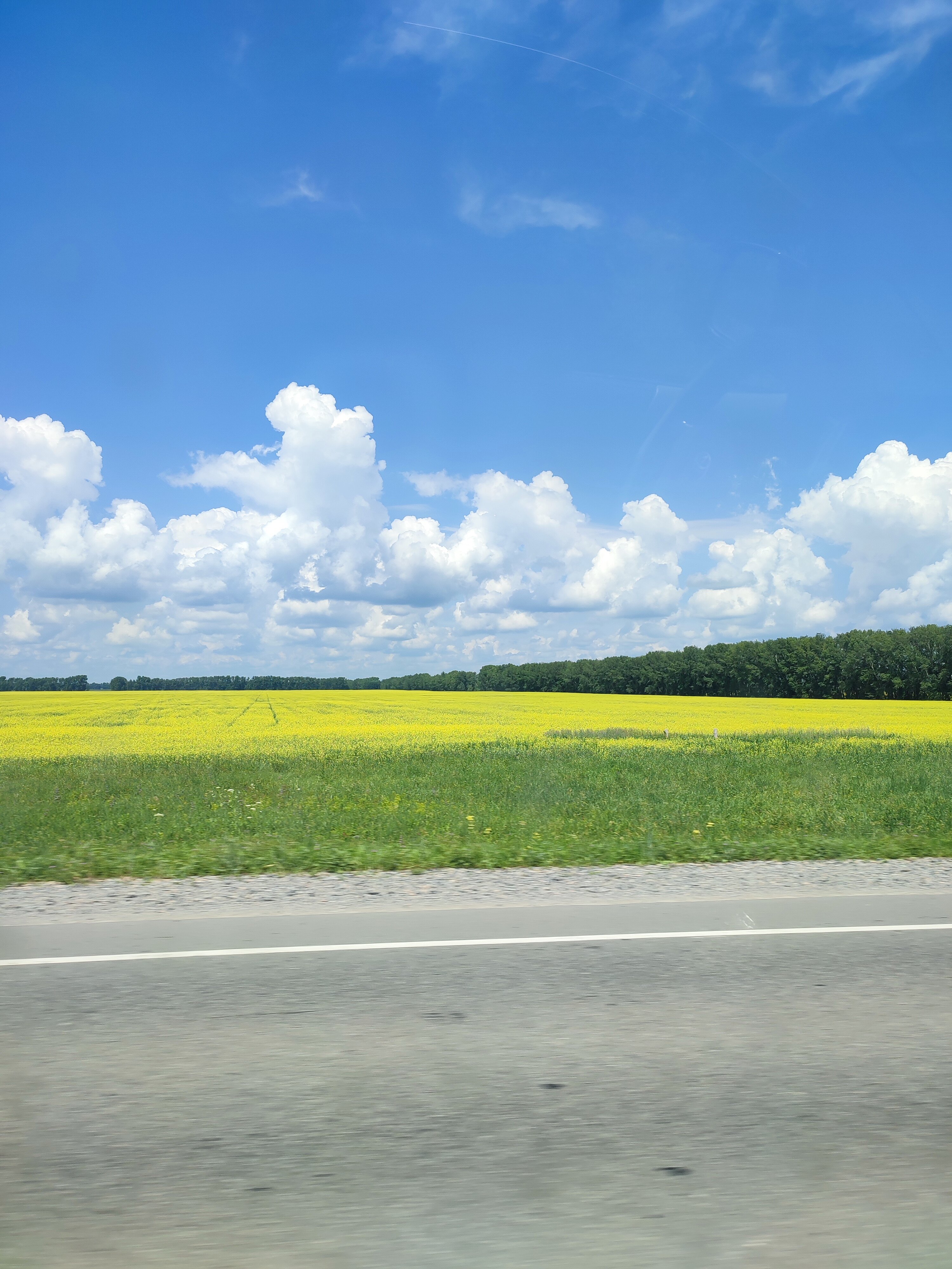 Фото Лунёвка