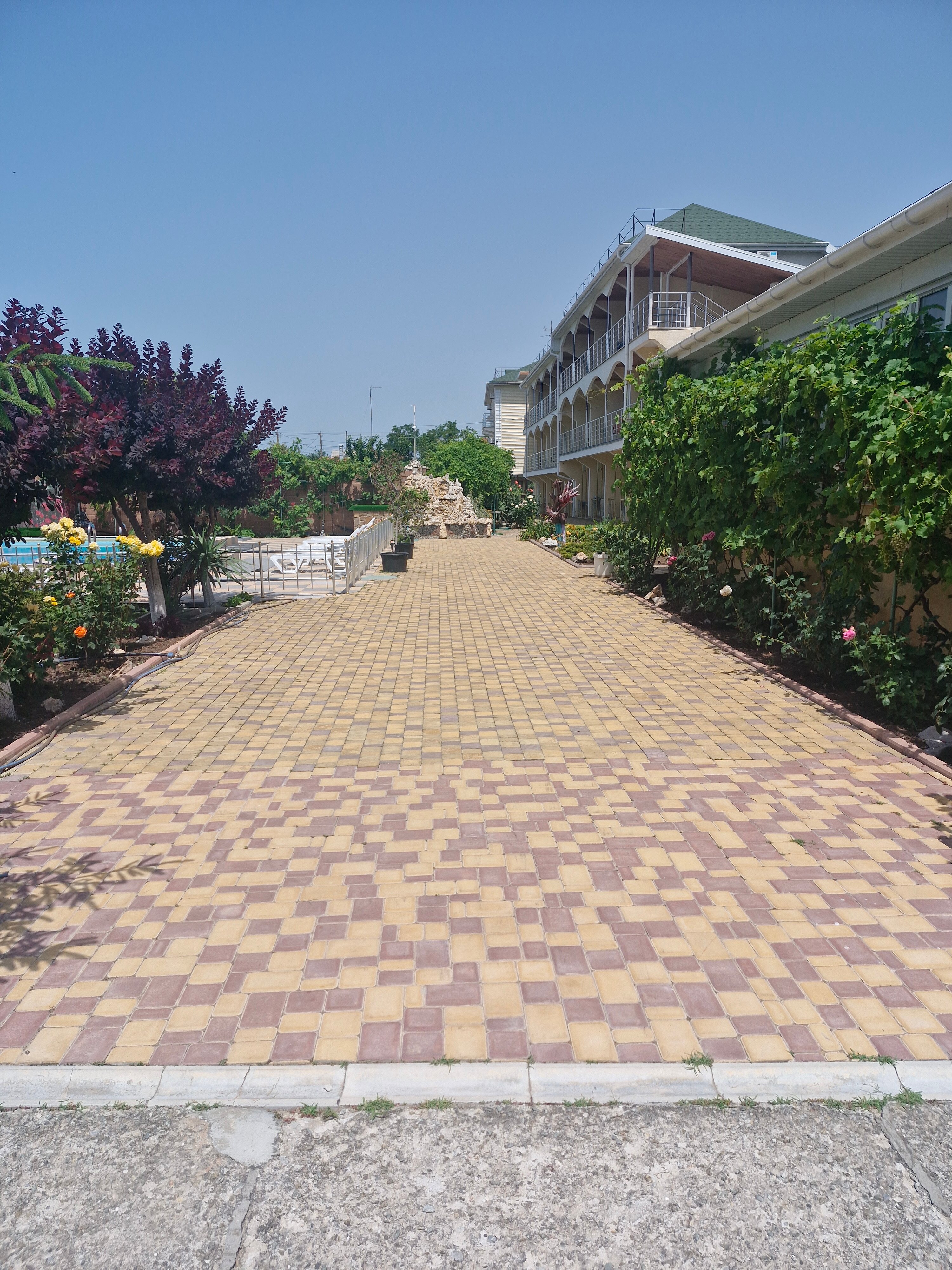 Фото ВИКТОРиЯ