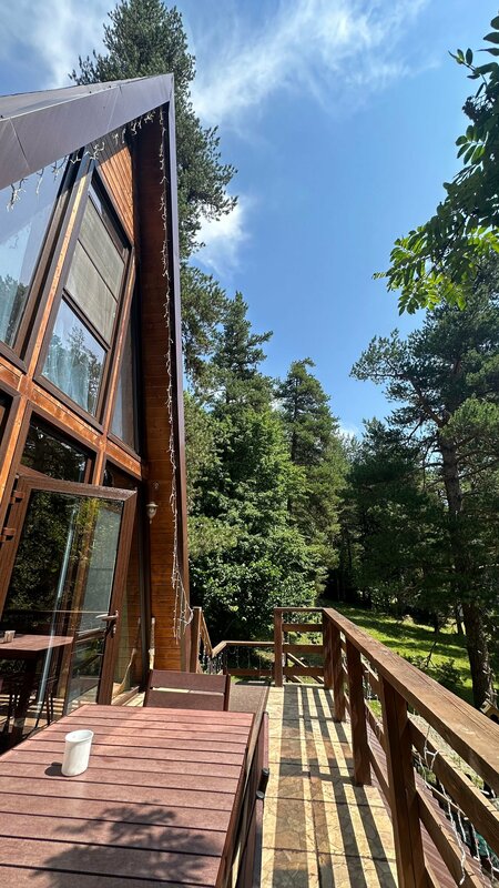 Chalet_Family_Arkhyz — фото 45