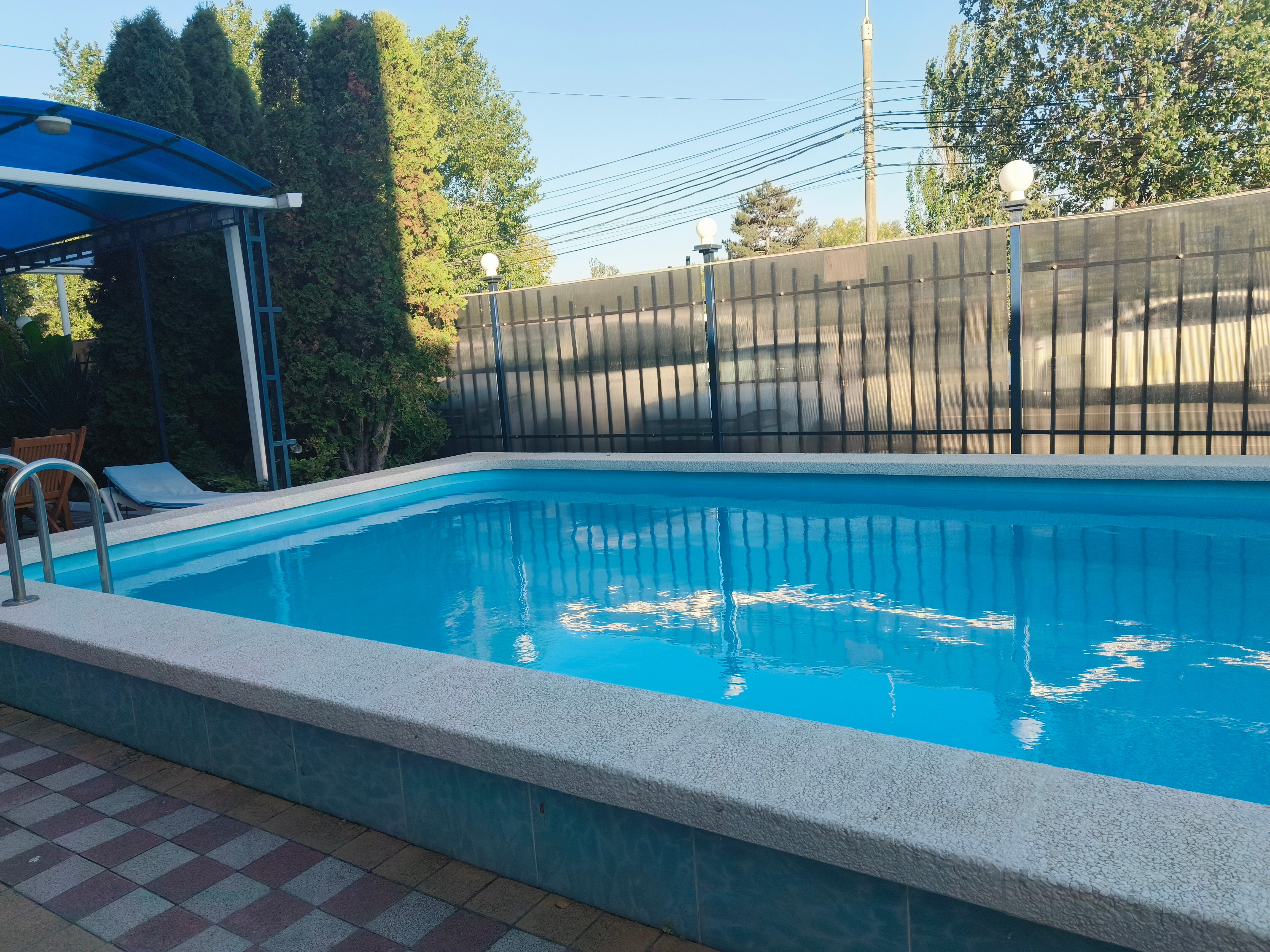 Фото Эдельвейс