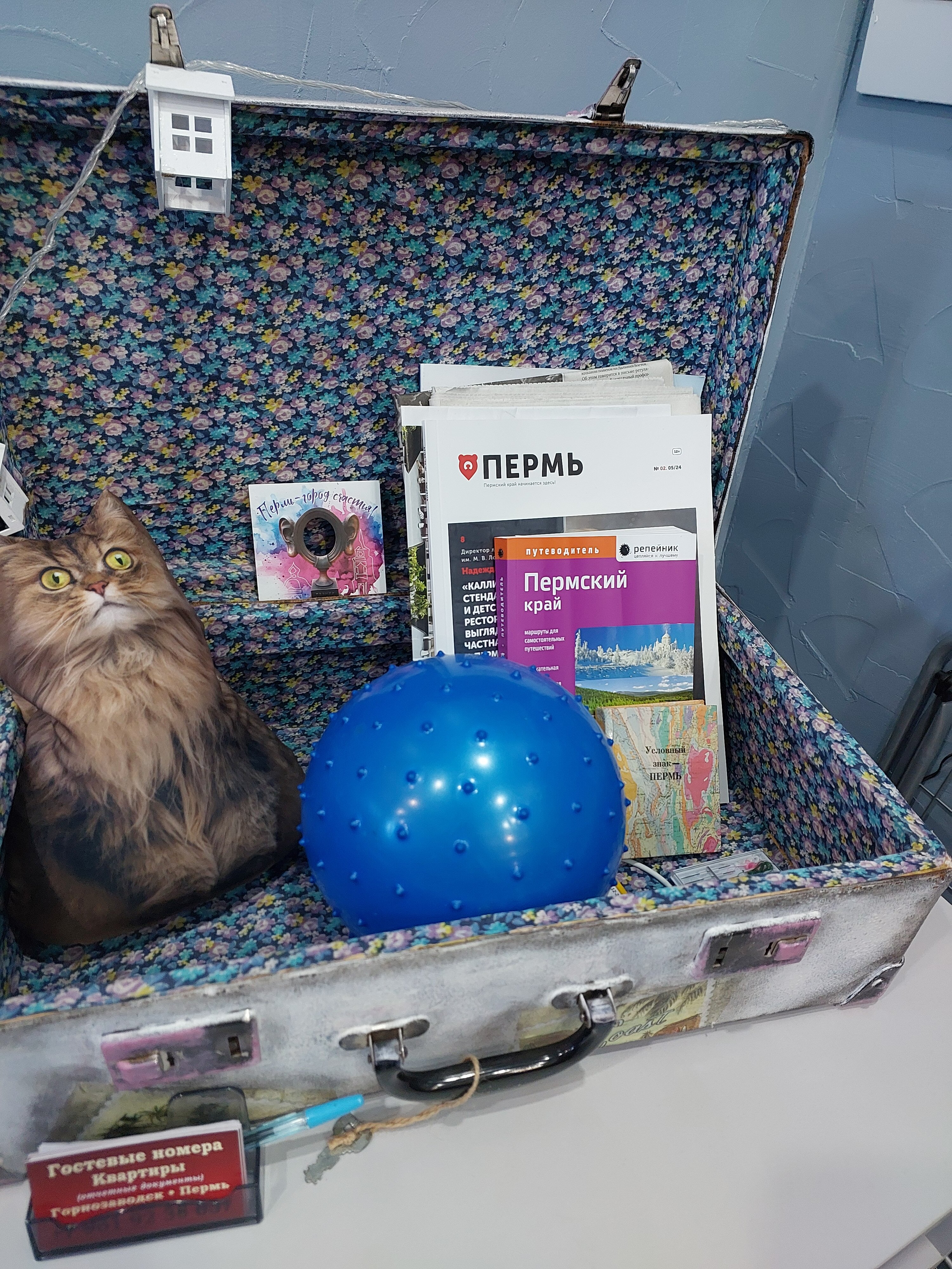 Фото Гостевые номера