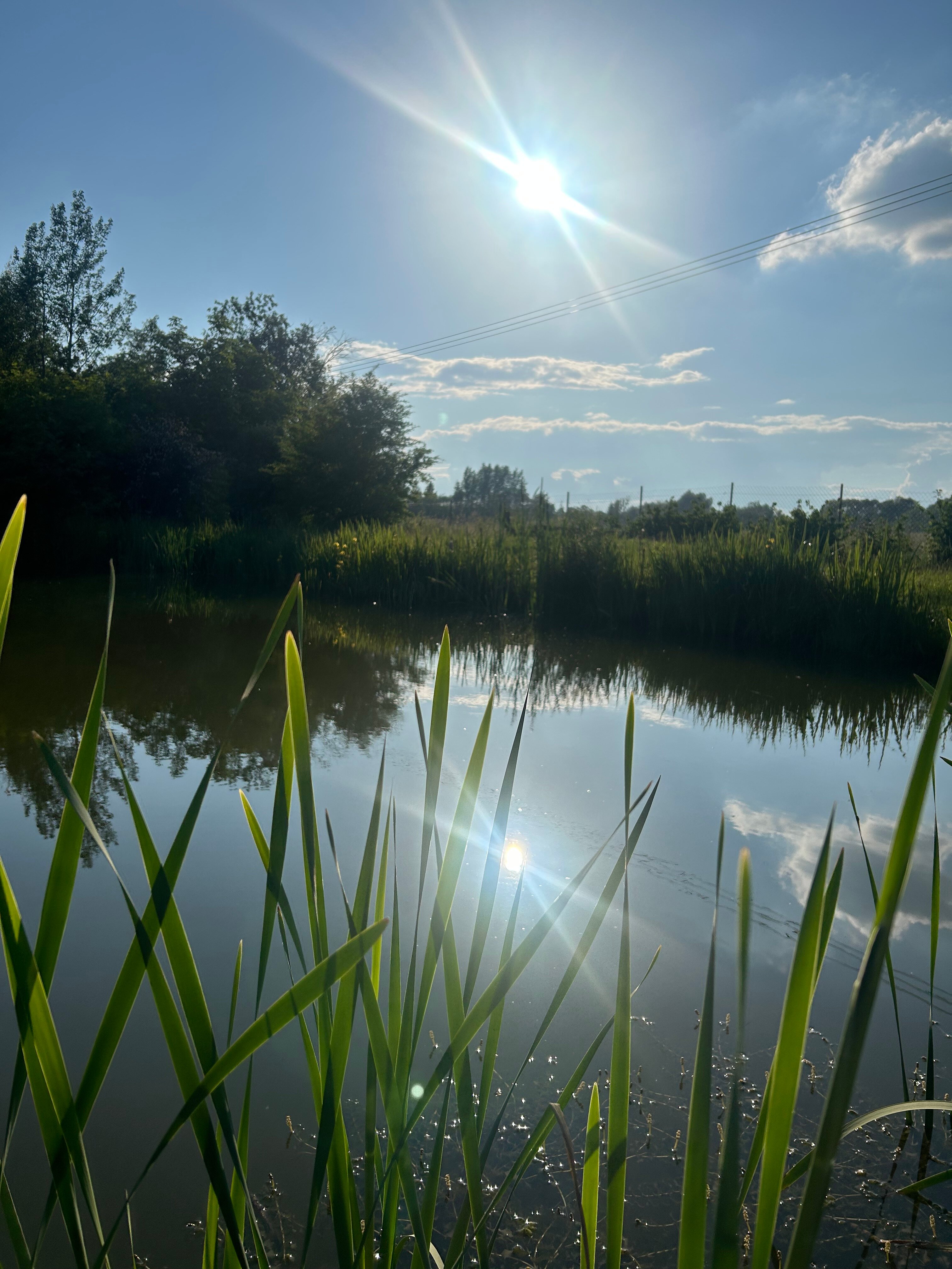 Фото Просто Квашино